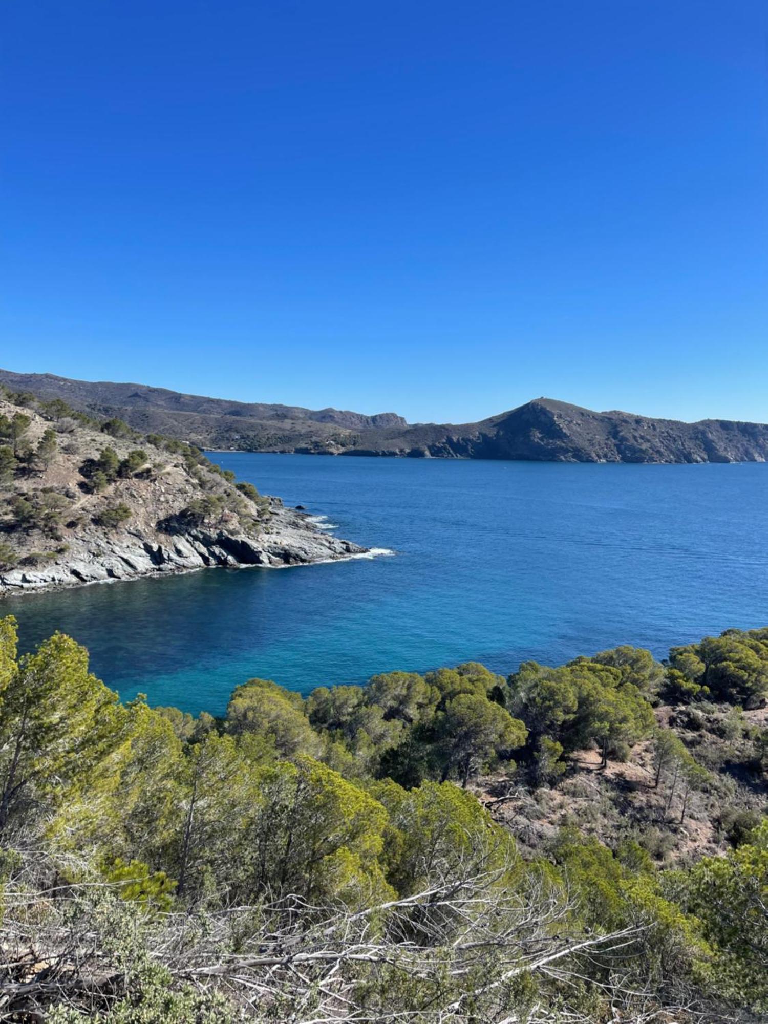 « el Jardin « puig Rom Apartment Roses
