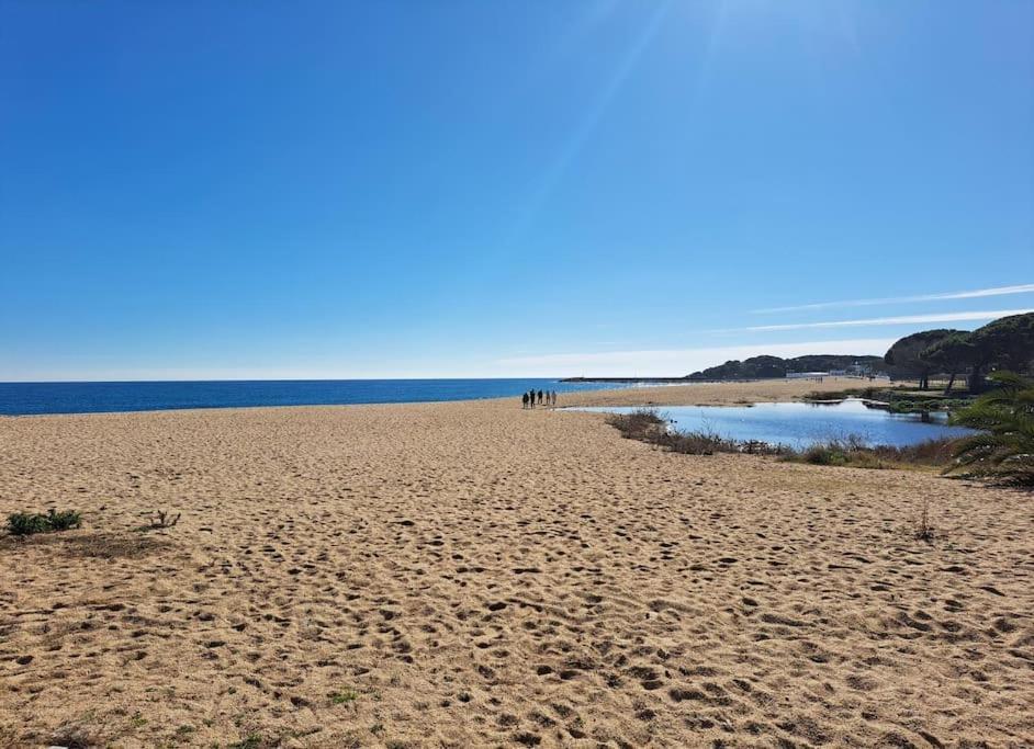 Apartamento A 50 Metros De La Playa.