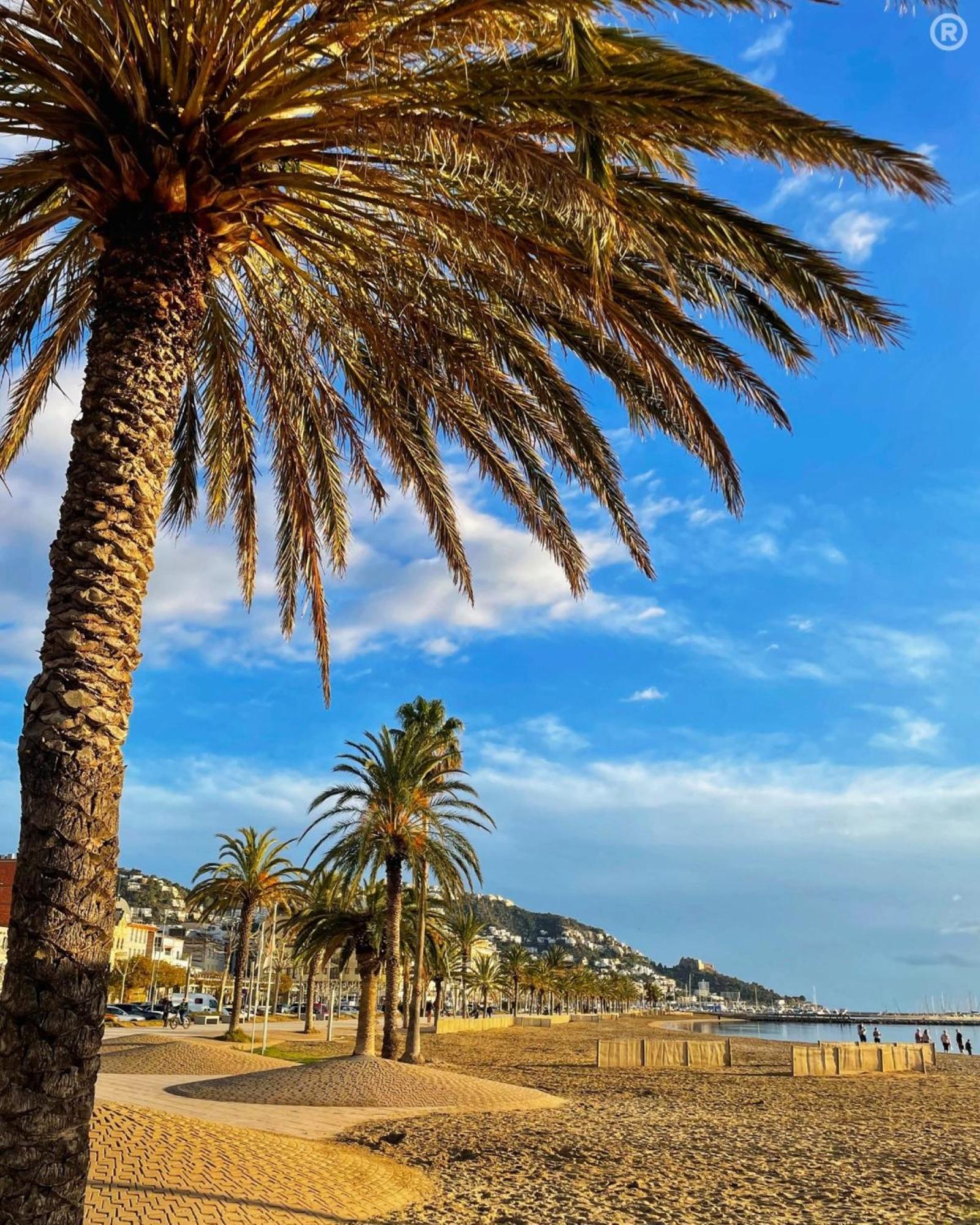 Apartamento Royal Marine 2 314 Roses - Immo Barneda