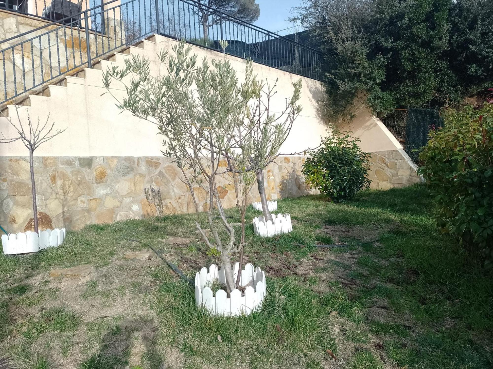 Apartamento Gran Estudio De 50m2 Cerca Costa Brava *