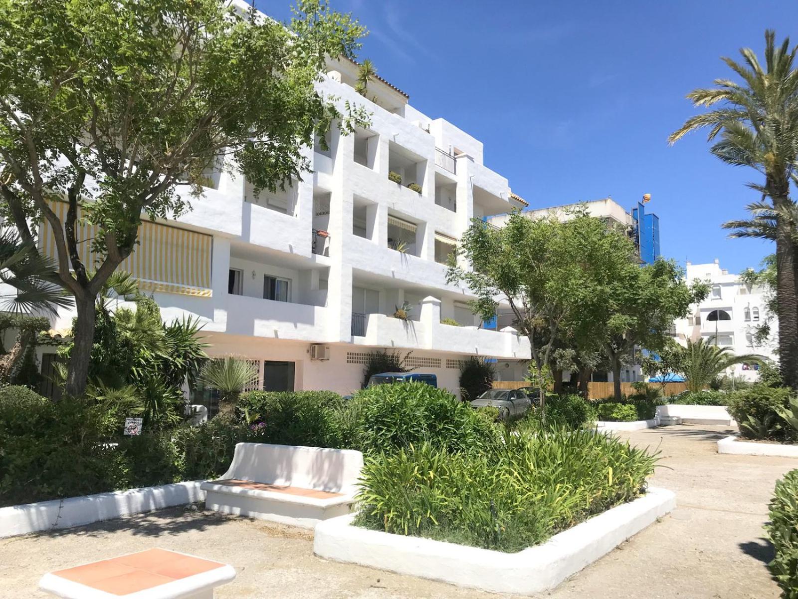 Royal Llevant 1 1