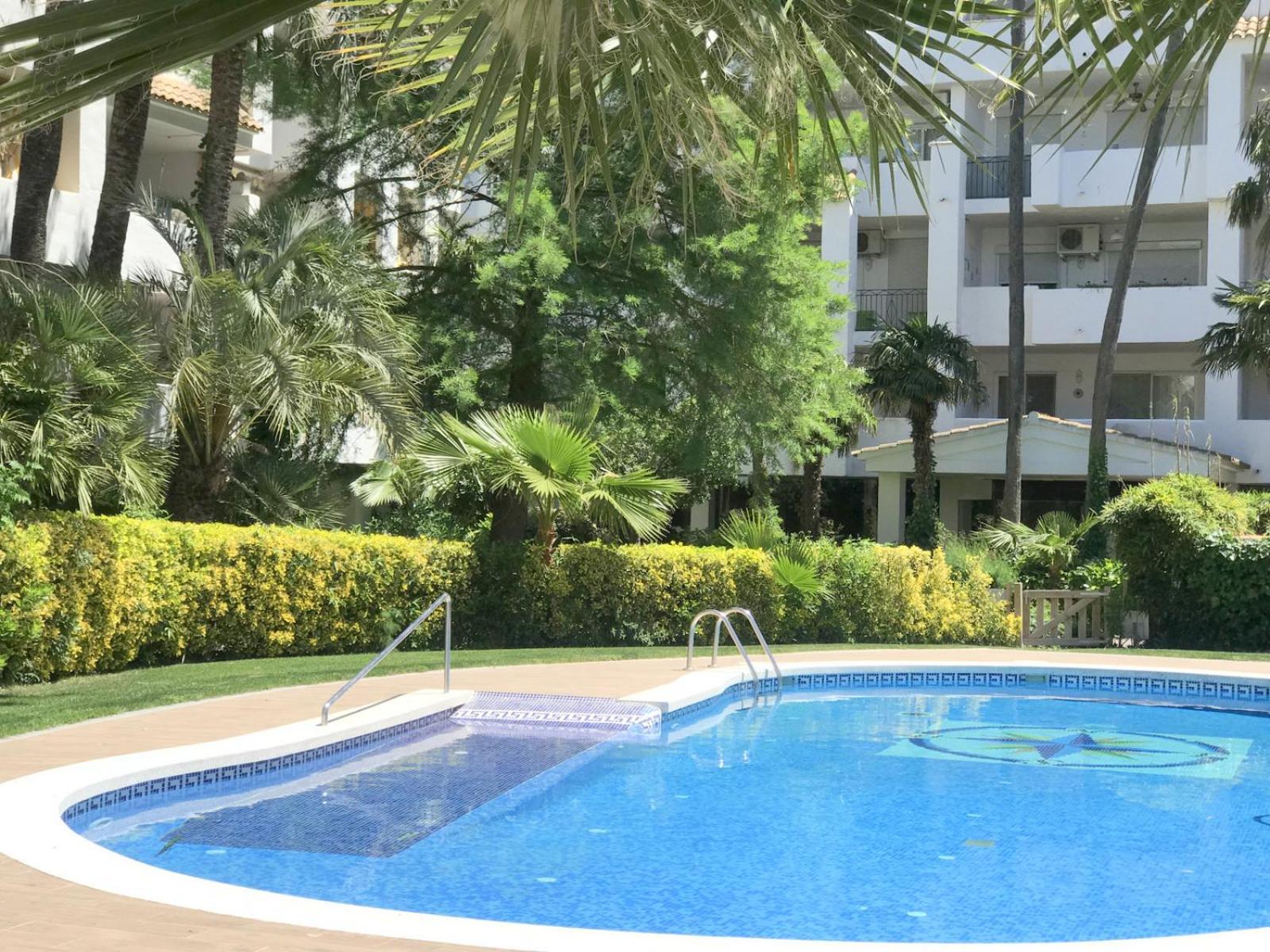 Royal Llevant 1 1 Apartment
