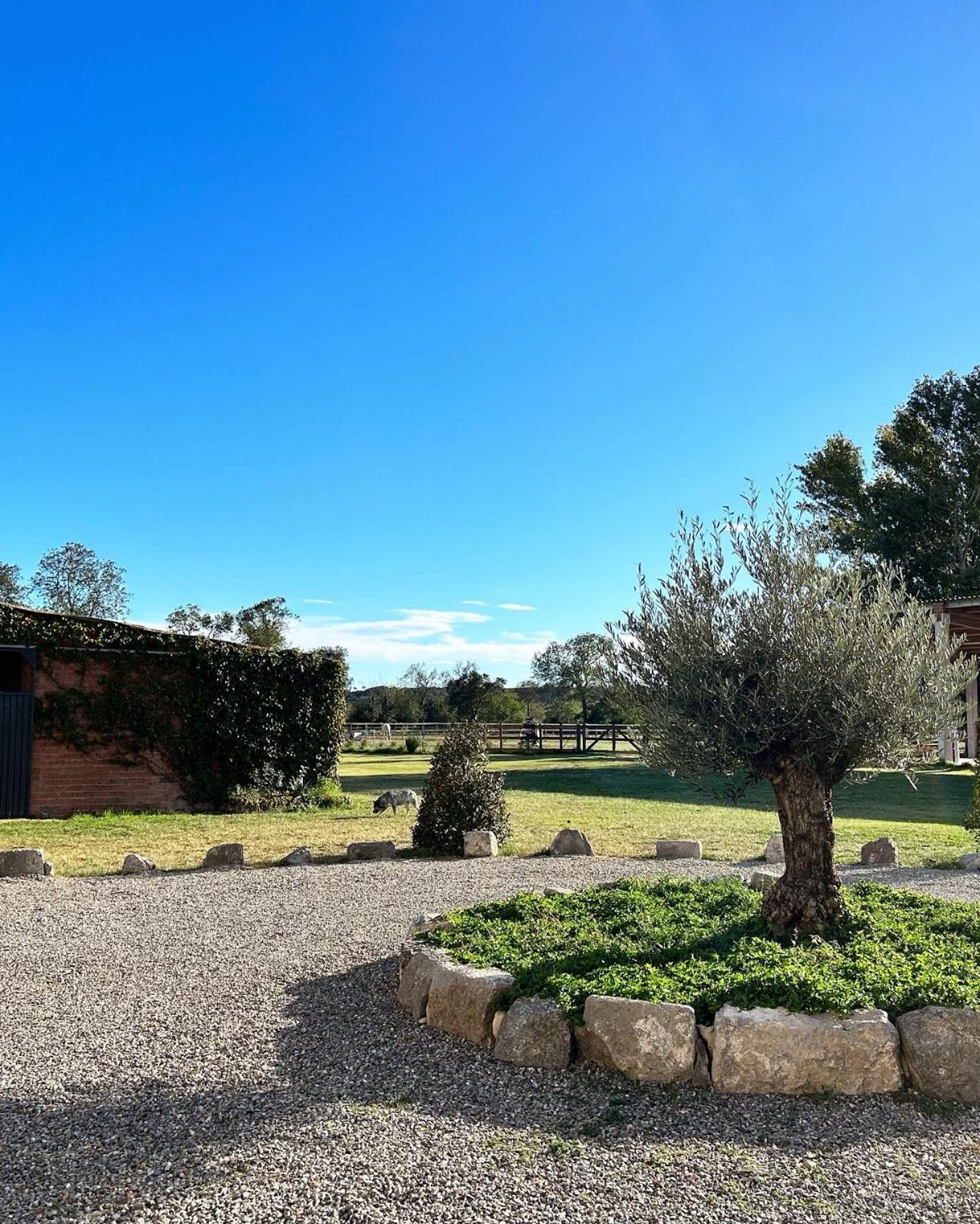Cal Robusto, In Masia With Horses Apartment