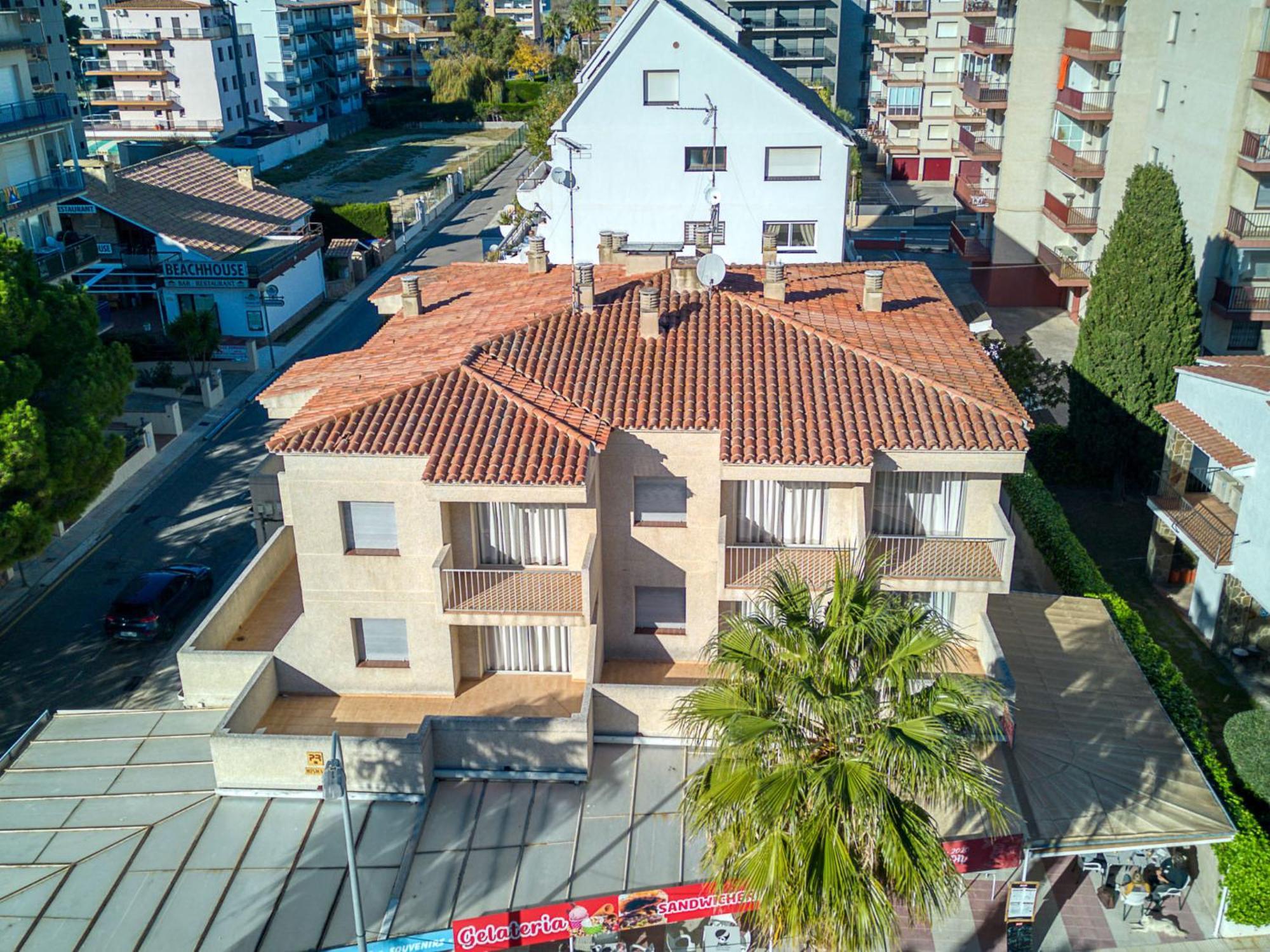 Mismar-7 By Interhome Roses