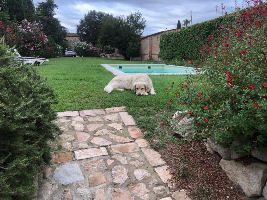 Can Bordes Casa Rustica Y Confortable En El Emporda Сasa de vacaciones Vilamacolum