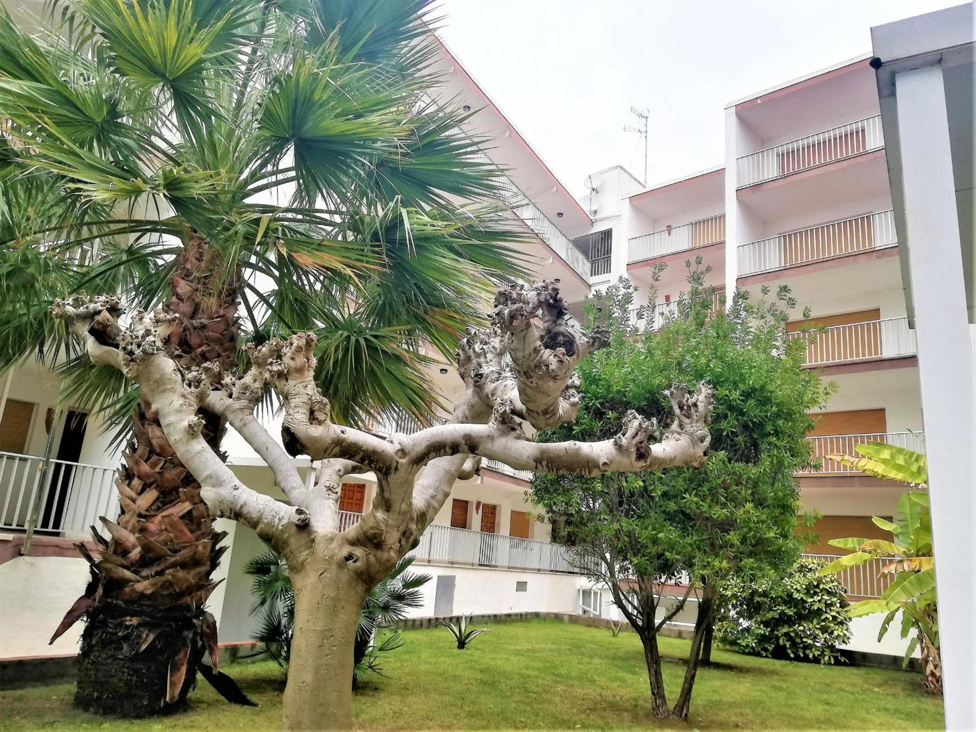 Apto En 2ª Linea De Playa Con Terraza, Wifi Y Parking Comunitario En Santa Margarita, - Es-258-67