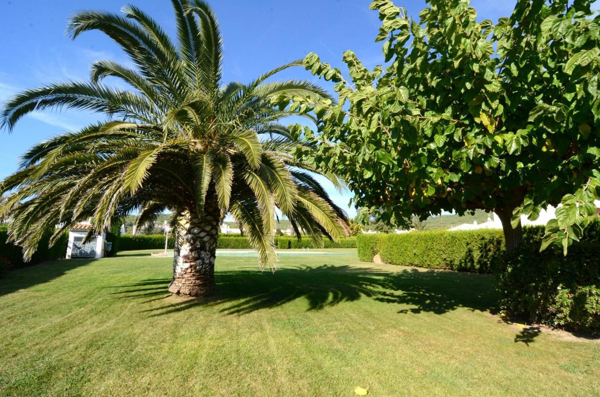 Les Acacies 10 Holiday home *