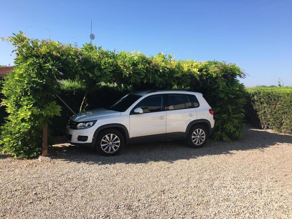 Sistach Nablanca Villa L'Estartit