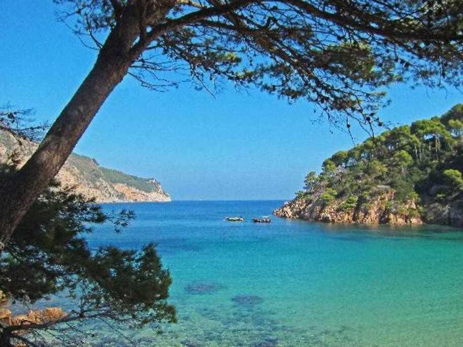 Joouvacations Pani
