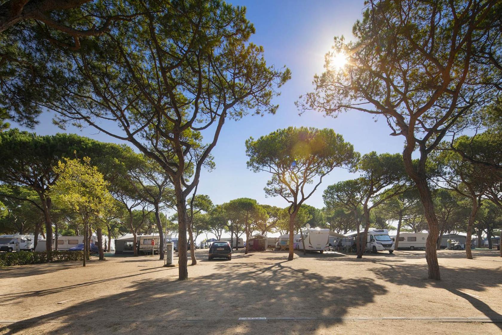 Camping Bella Terra 5*