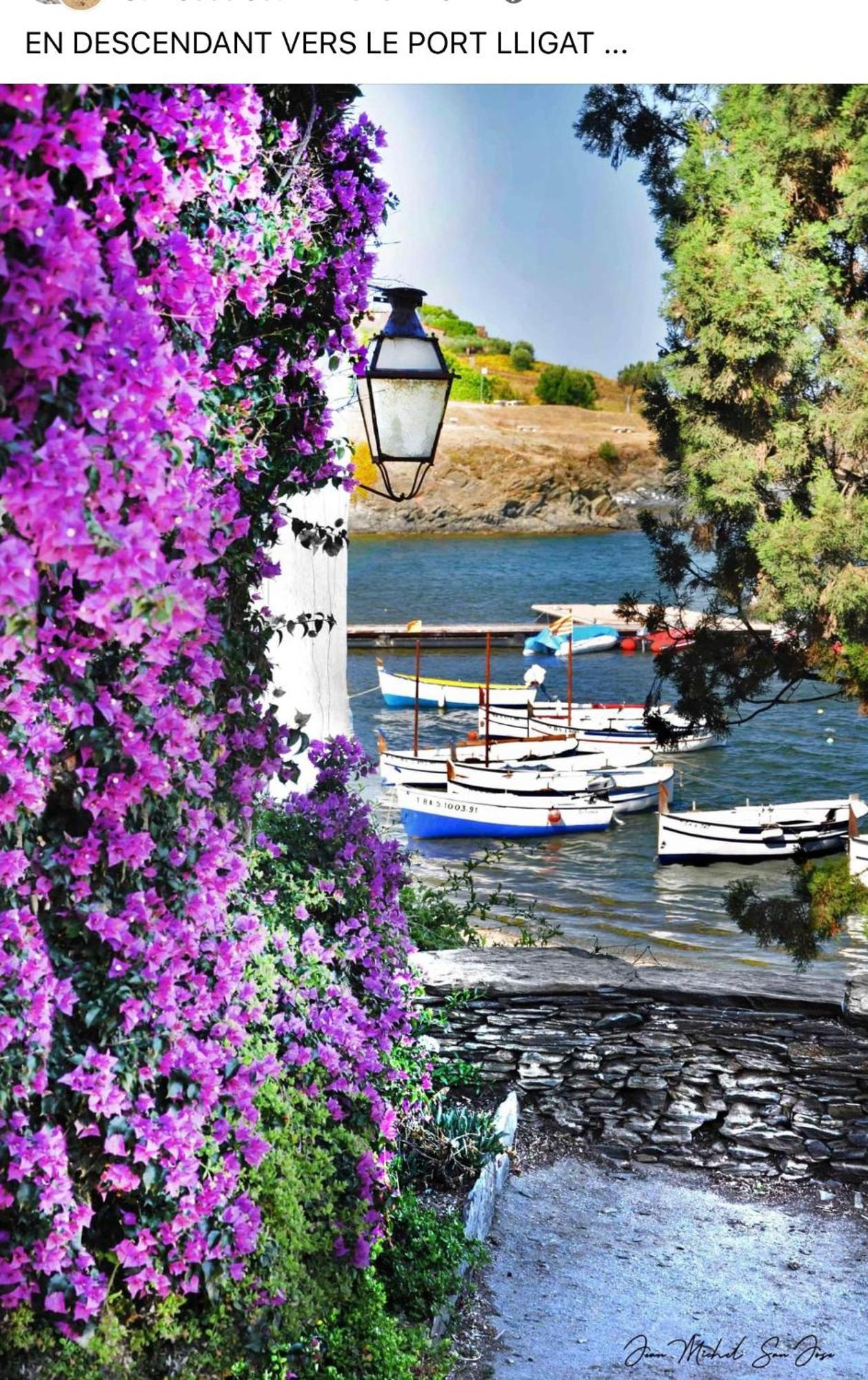 Résidence Cala Montgo * L' Escala