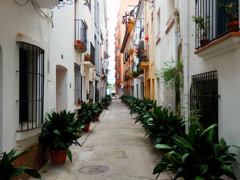 Playa Apartamento Blanes