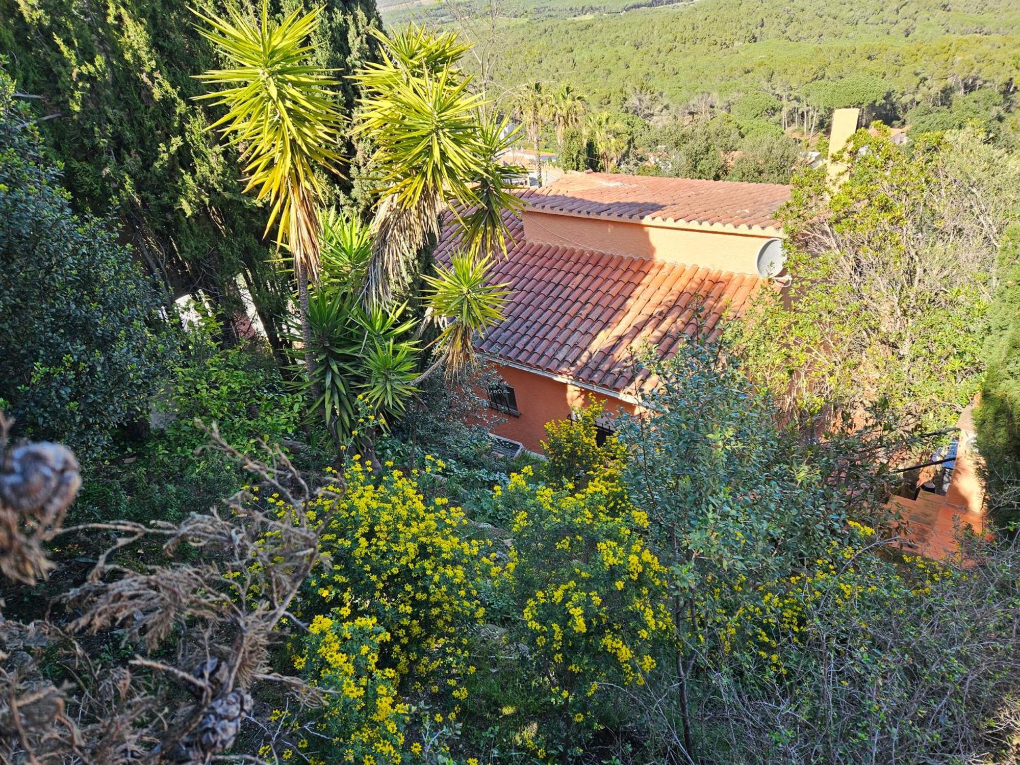 Montagne Vue Panoramique Sur Chalet