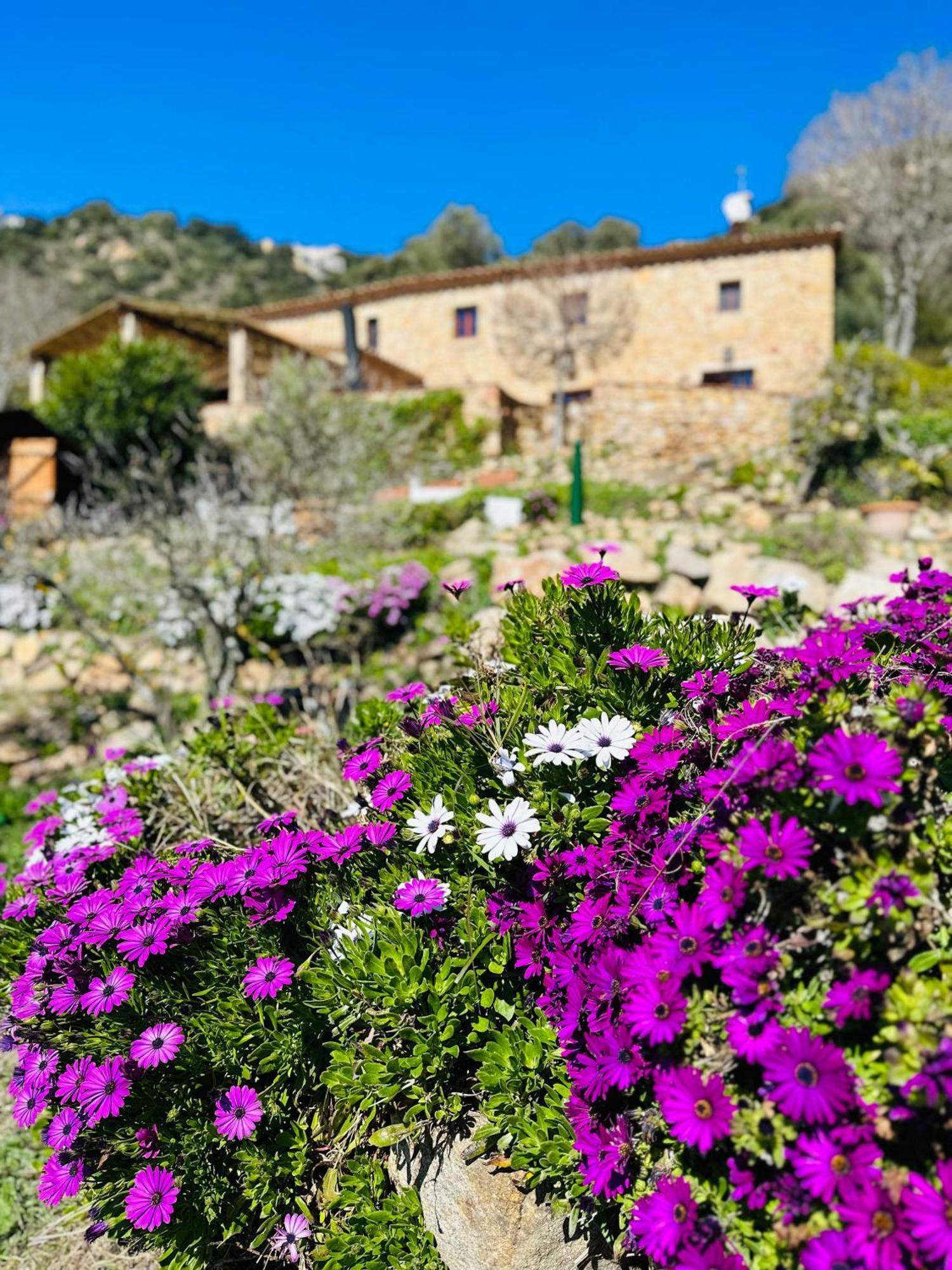 La Vista Brava Casa rural