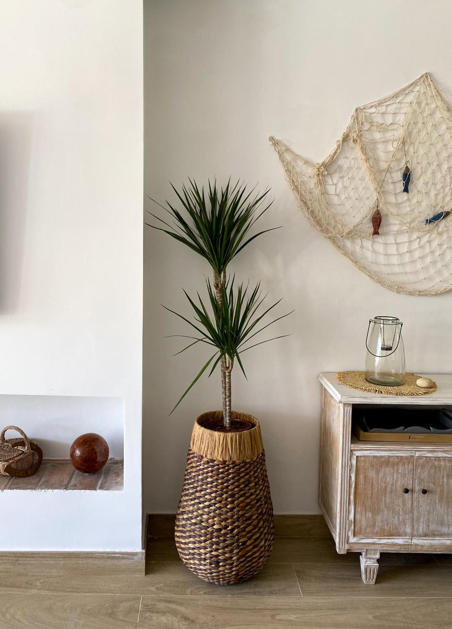 Thegoldsand Cala Salions Tossa De Mar Apartment *