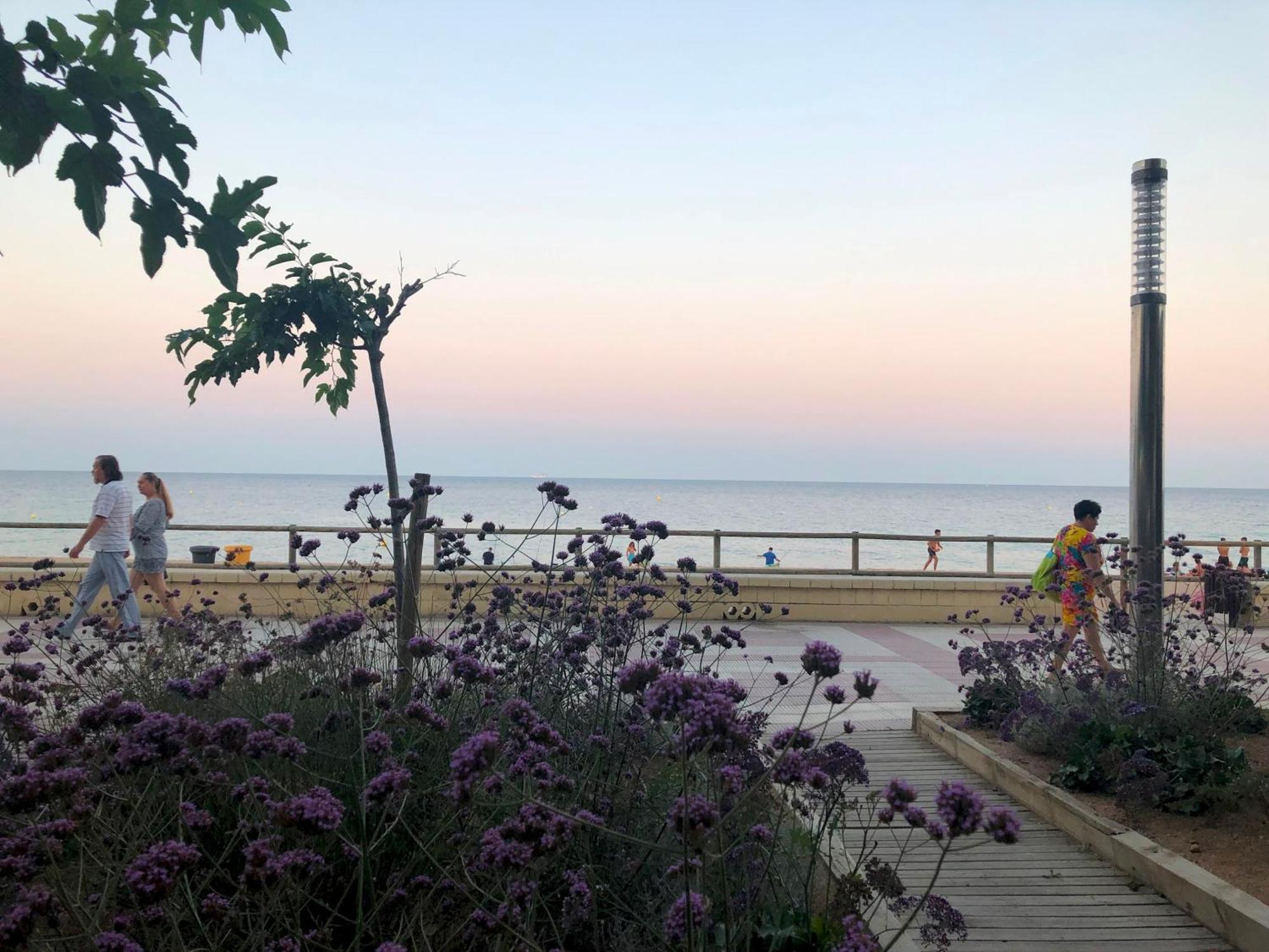 Bliss * Blanes