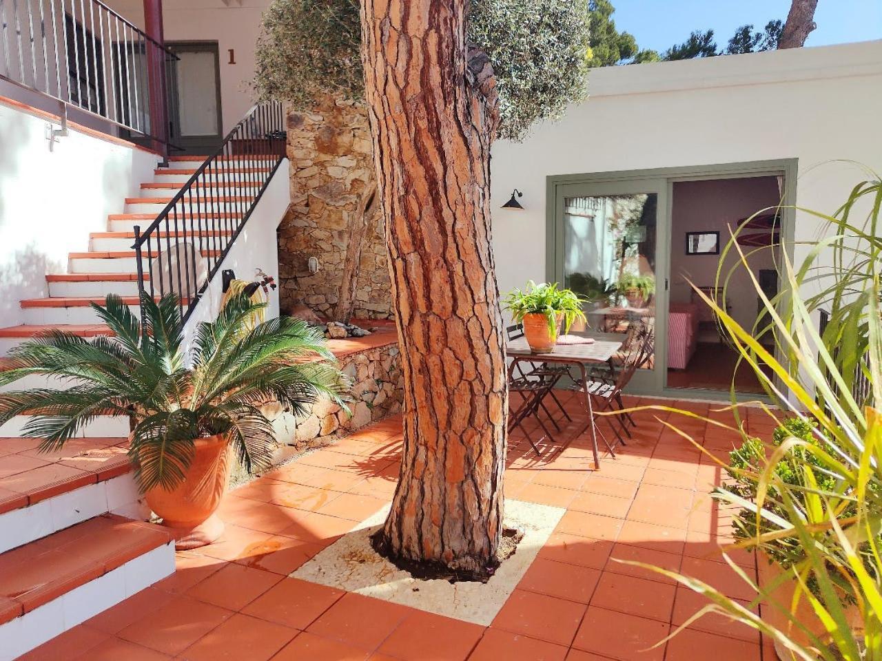 T2 - Sunny Duplex With Garden 50m From Tamariu