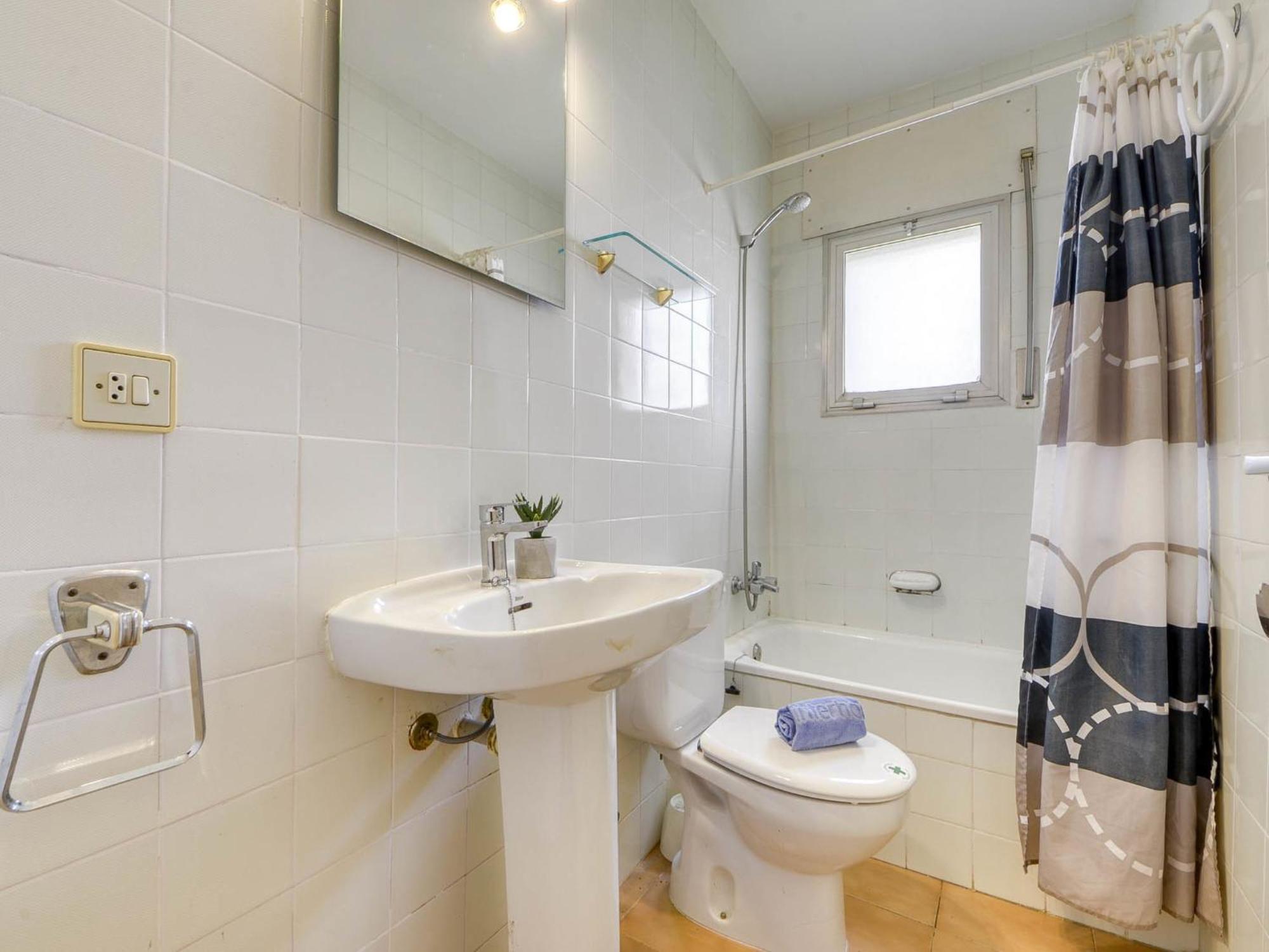 Mismar-11 By Interhome Roses