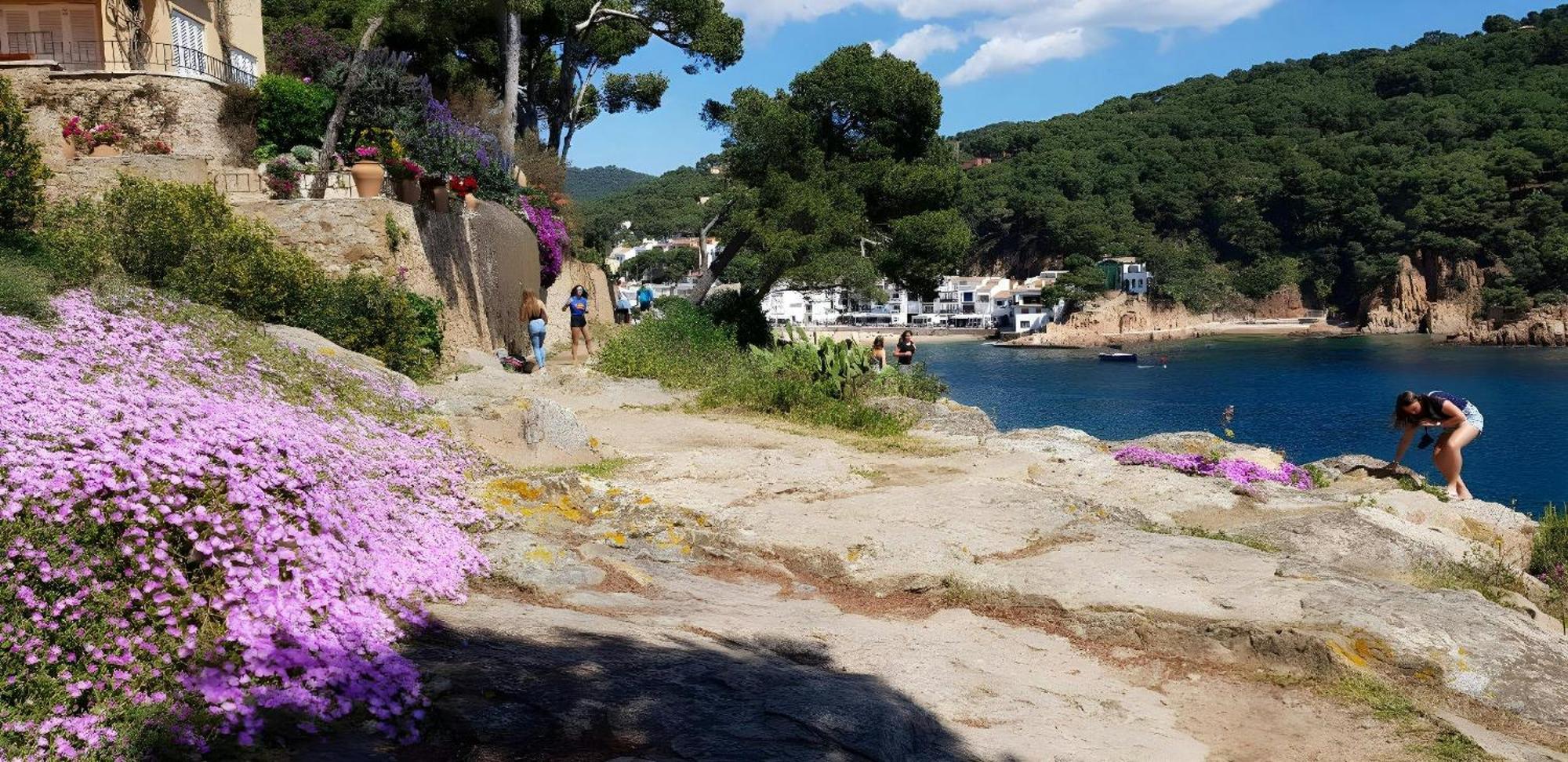 T2 - Sunny Duplex With Garden 50m From