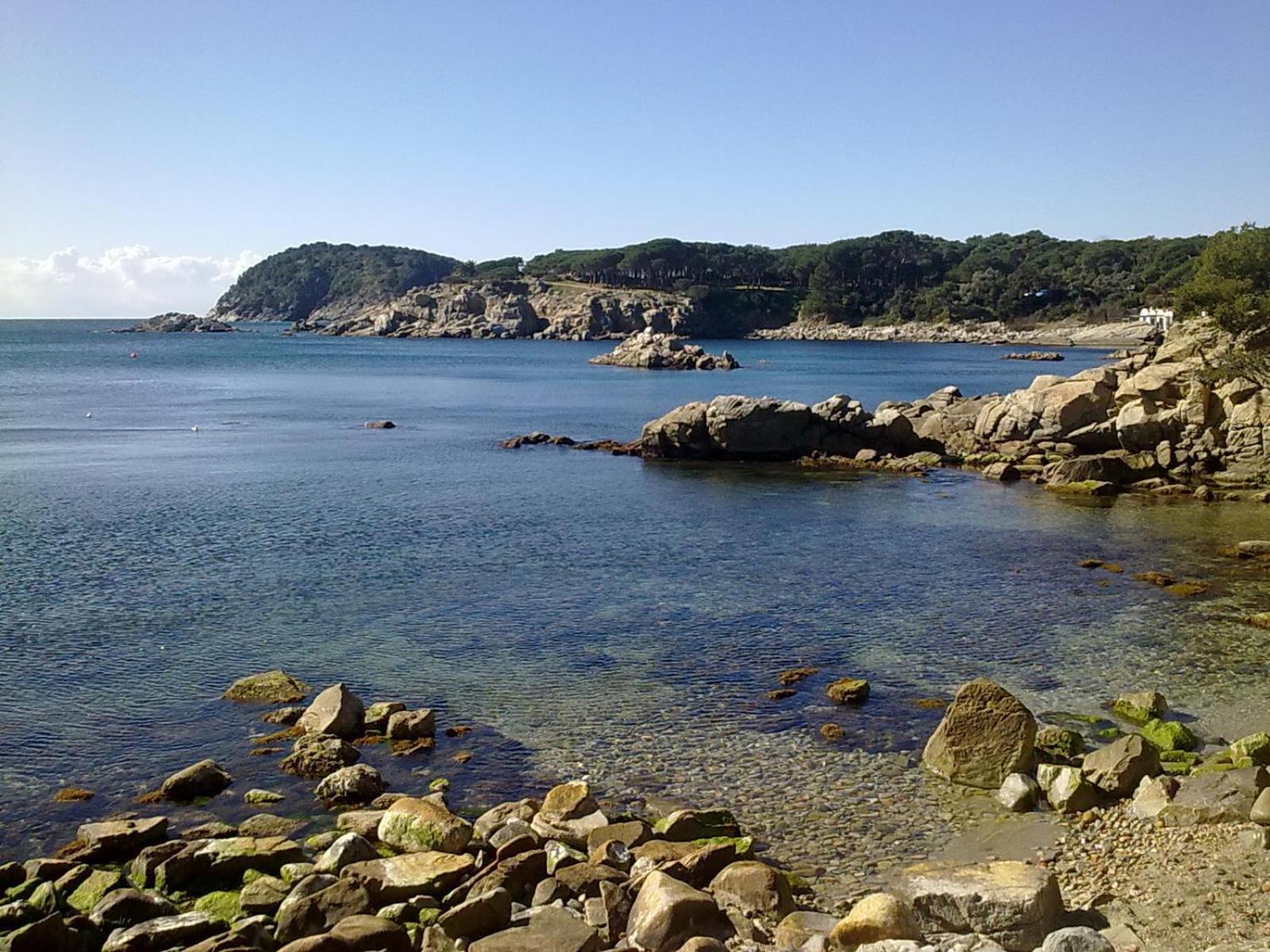Ancora Palamós