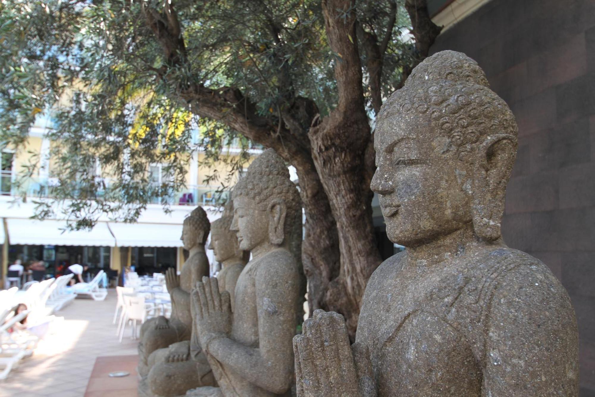 Hotel La Palmera&spa