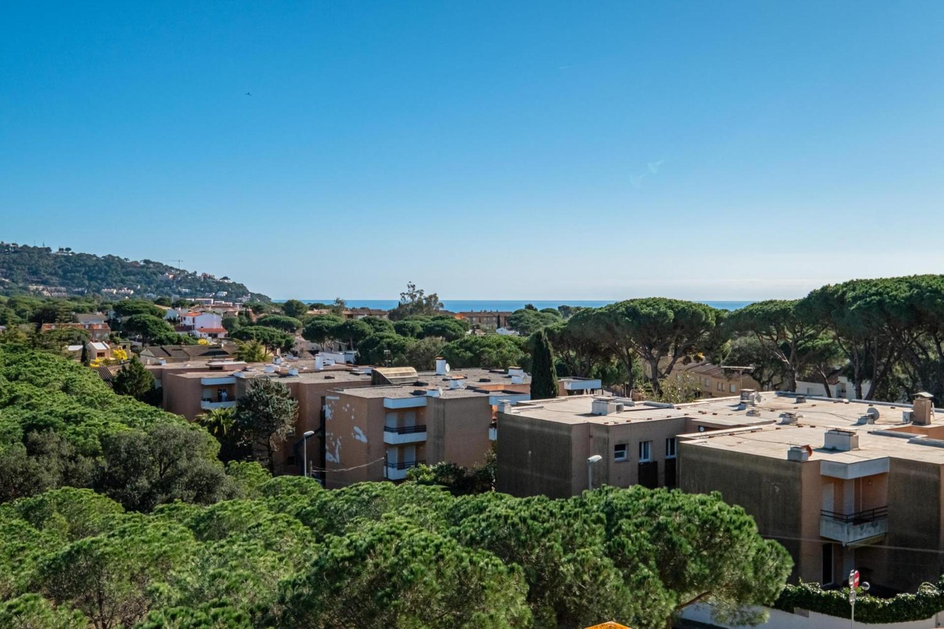 Apartamento Ds-1 6 Pax