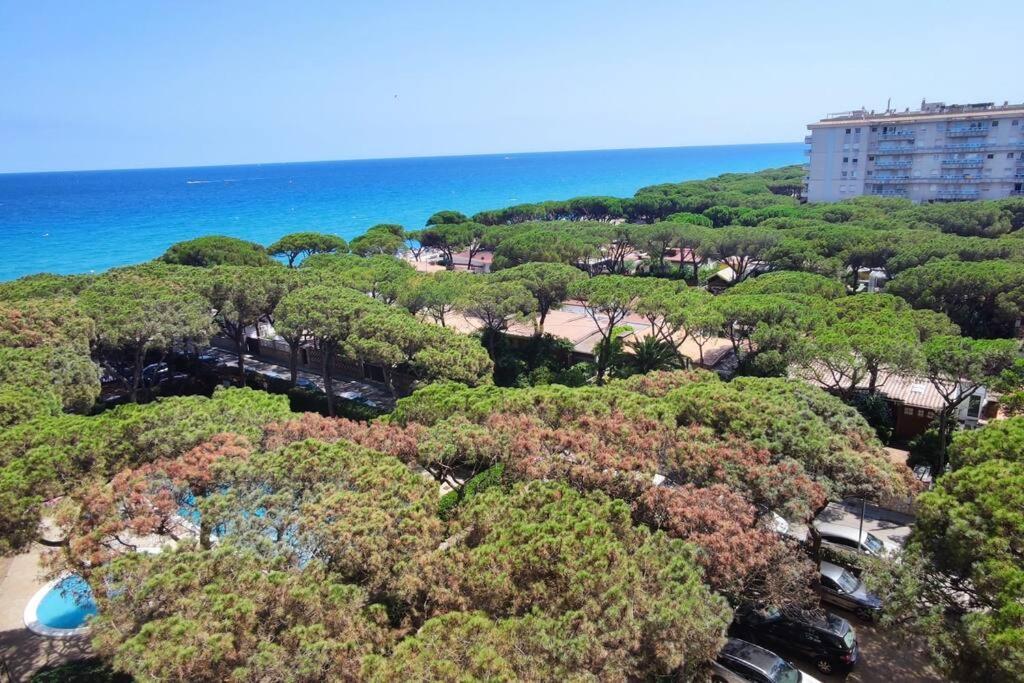 The Sea Blanes