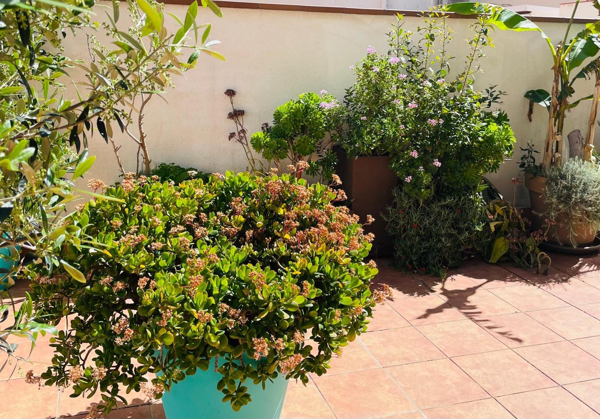 Apartment Figueres Center Figueres (Girona)