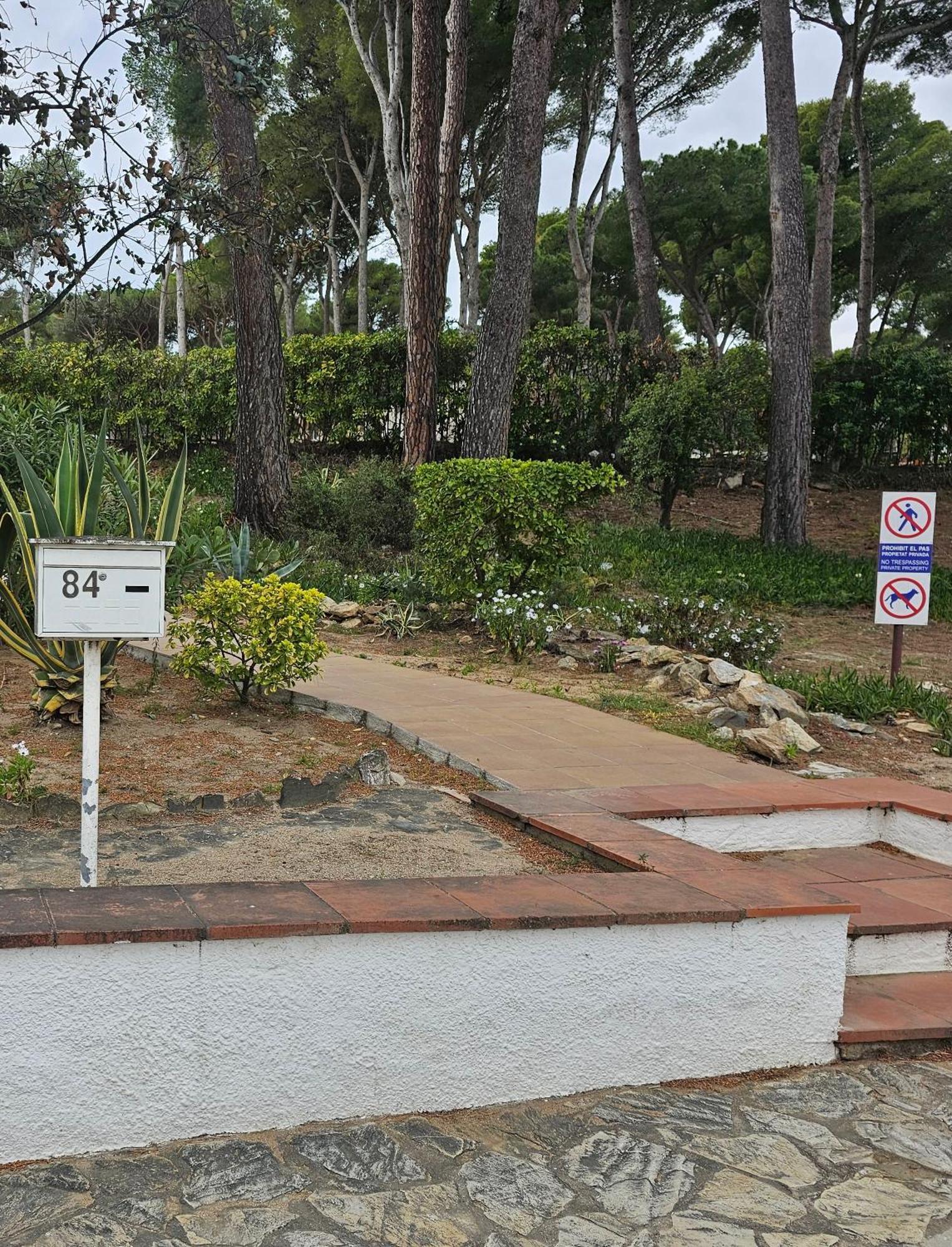 Standar Cerca De La Playa