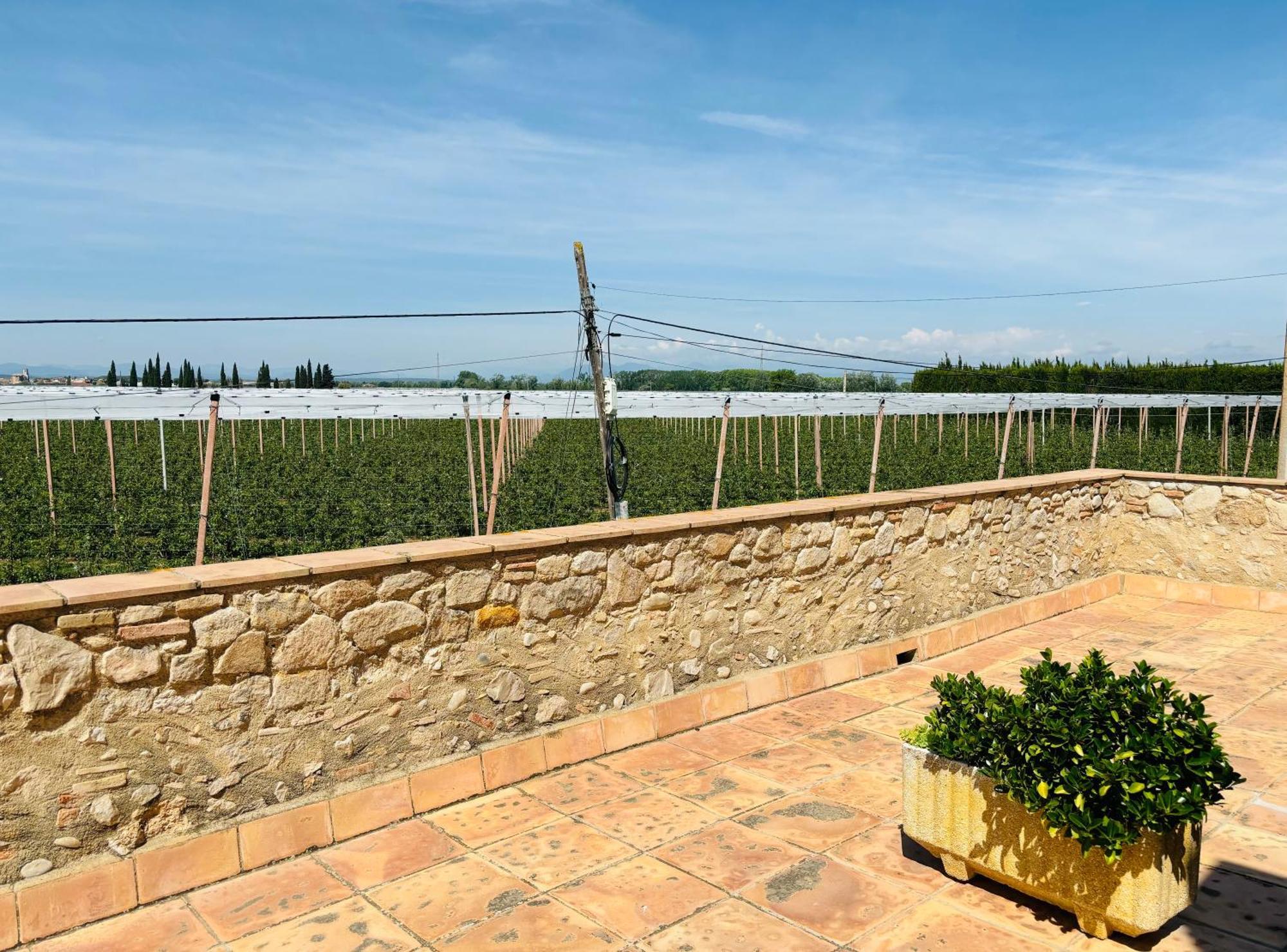 Mas Casa rural Sant Pere Pescador