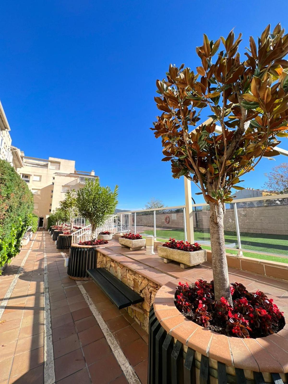 Casa Calonge Apartamento *