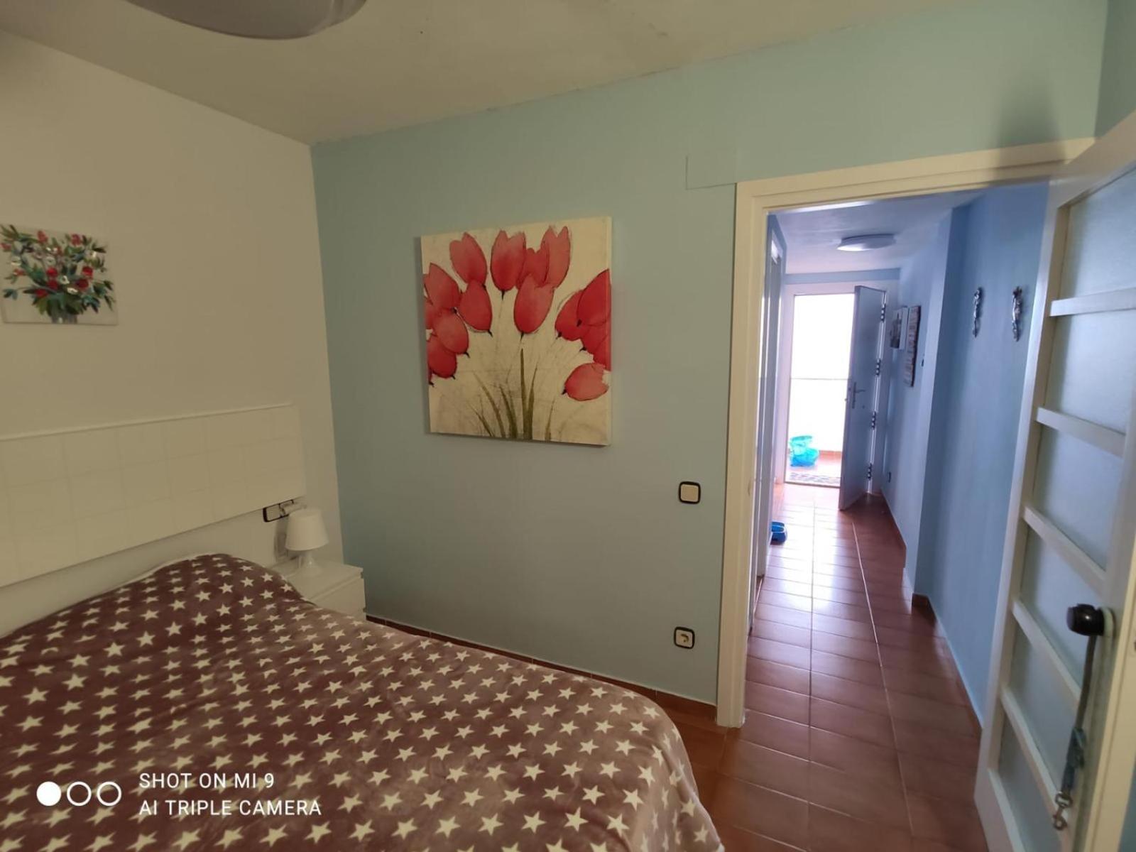 Apartment Tossa Tossa de Mar
