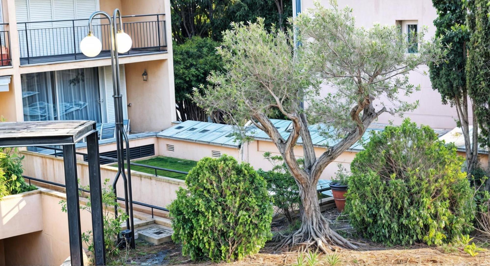 Apartamento Precioso Reformado En 1a Linea De Mar Sin Vistas Calella De Palafrugell
