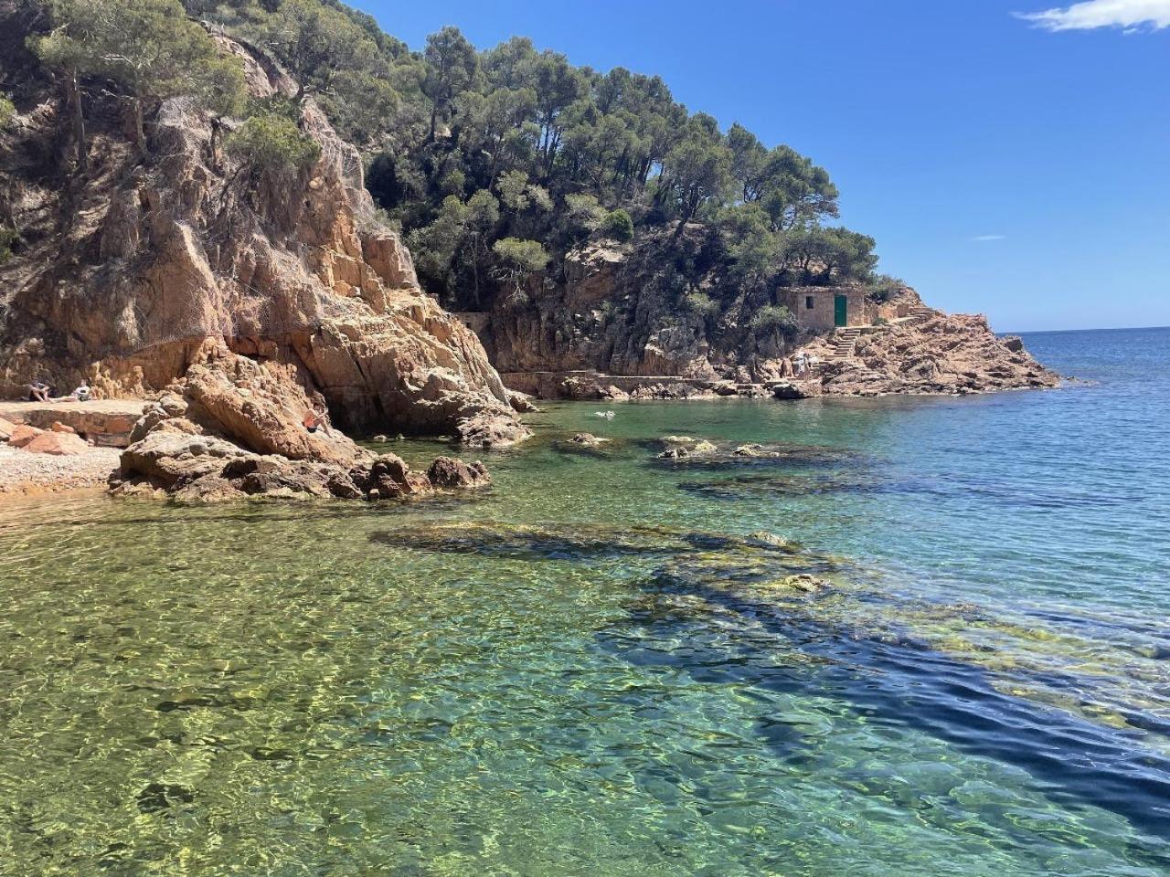 Apartment Cala Dor - Coastal With Private Terrace