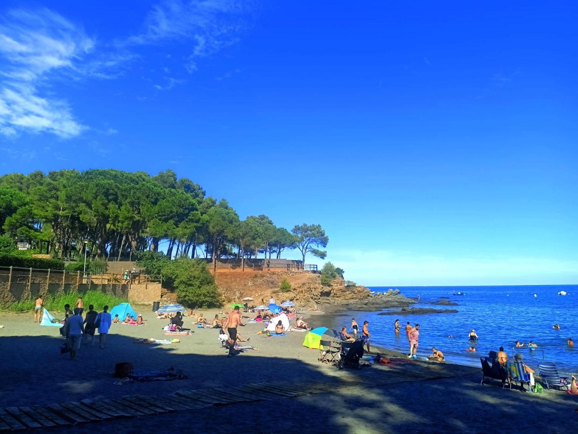 1541 In * Llanca