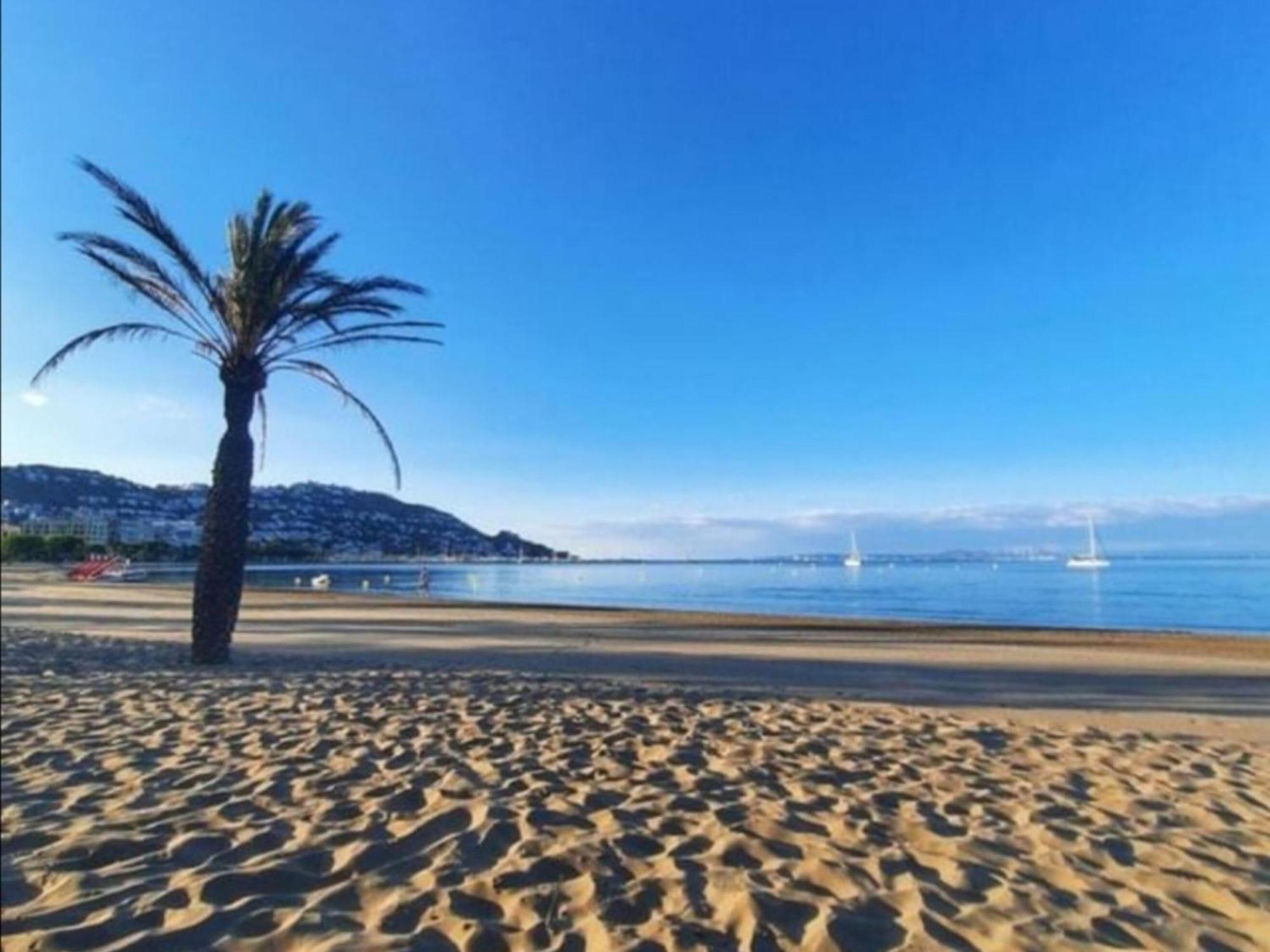 Apartamento 2179 Rocmar 7 4-b, Excelente Situacion Frente Al Puerto Pesquero Y Con Vista A La Bahia. Gran Terraza. Gran Parking Publico Delante. - Es-258-54