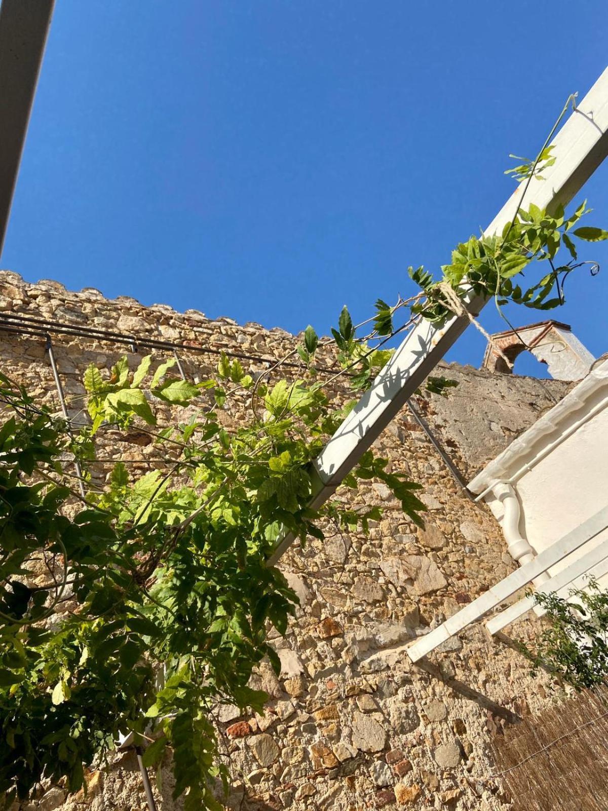 Ecoturisme Mas Ribas
