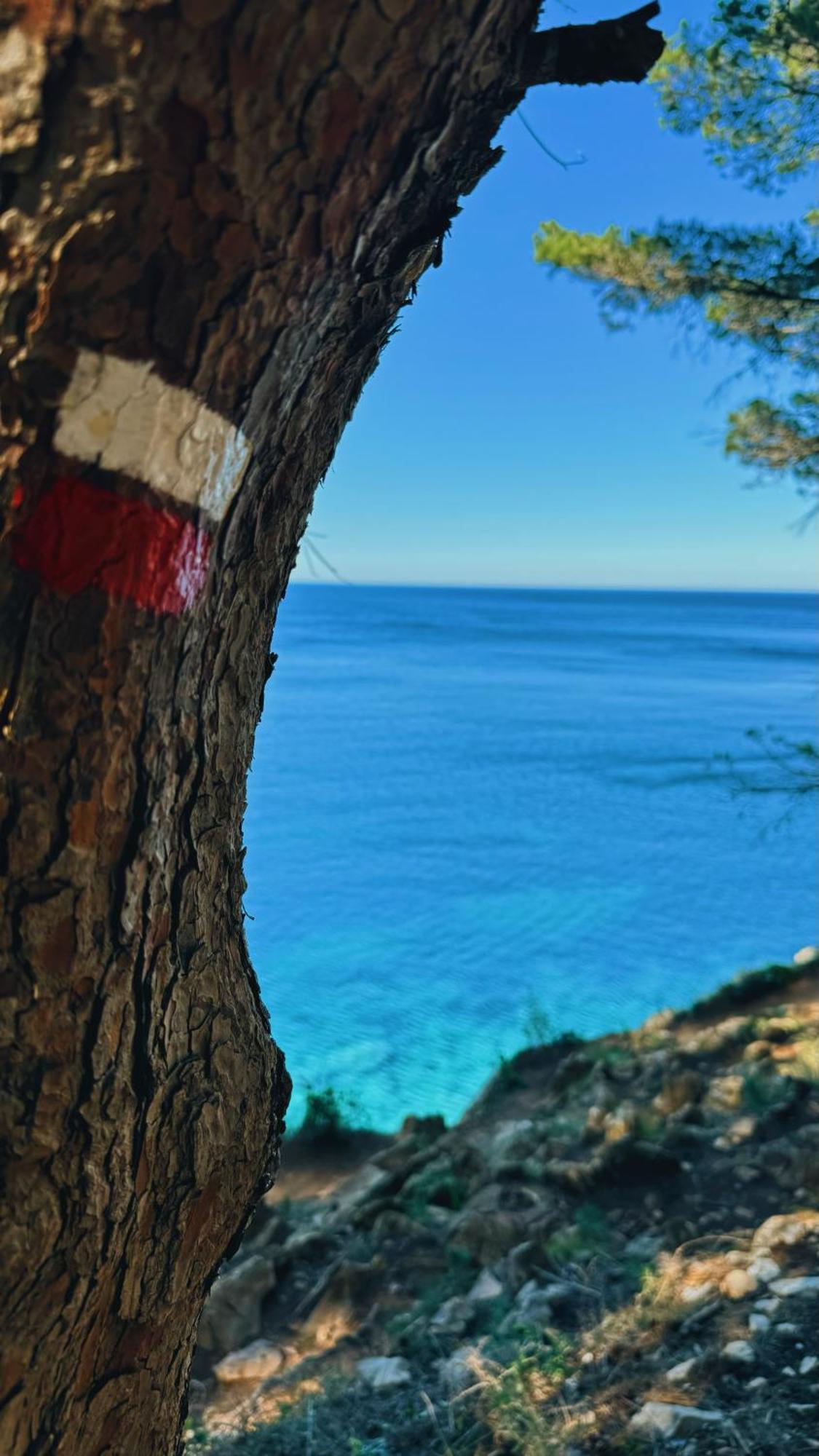 Apartamento Romy T2f A 20m De La De Cala Montgo *
