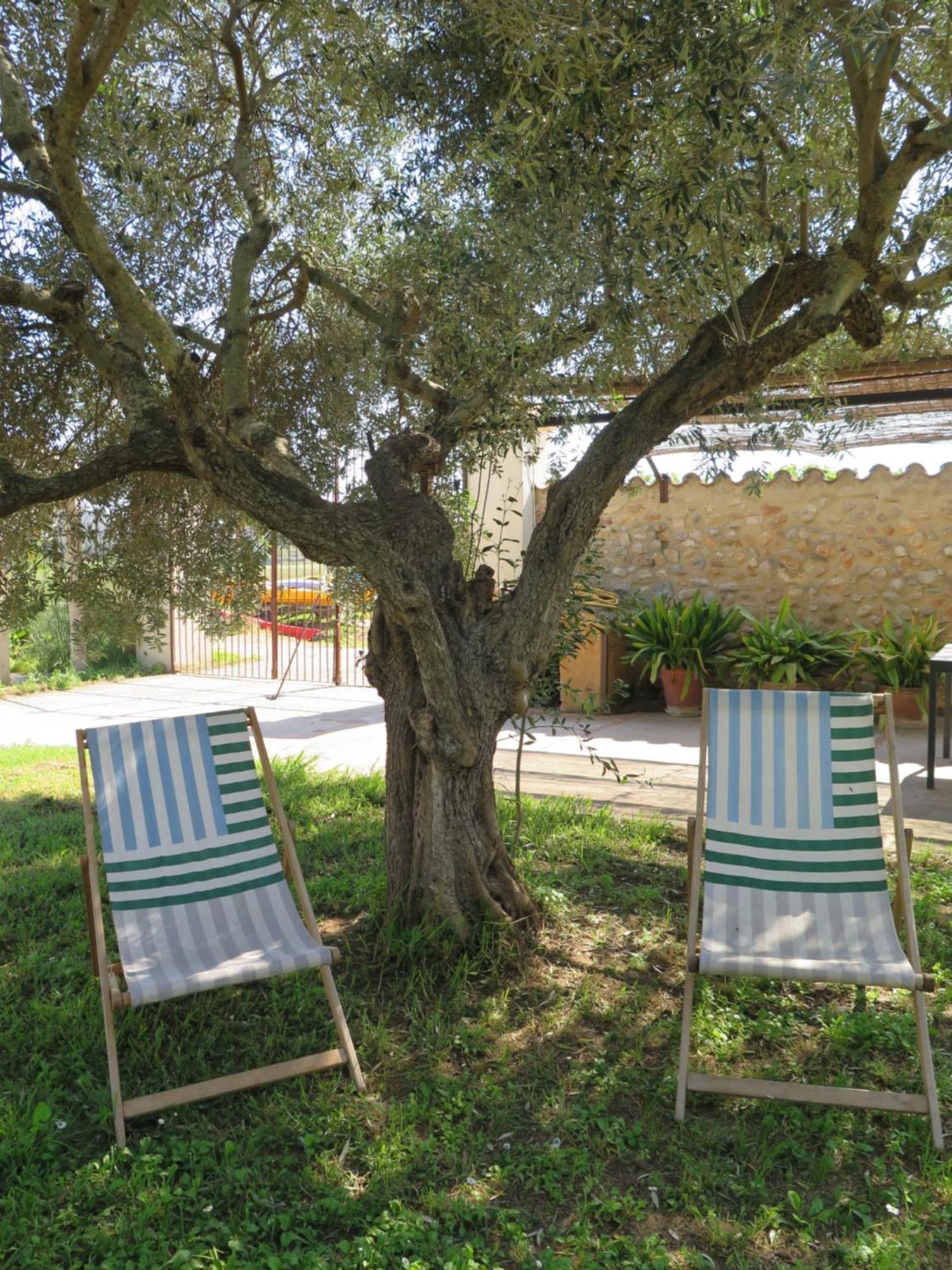 Mas Font Holiday home