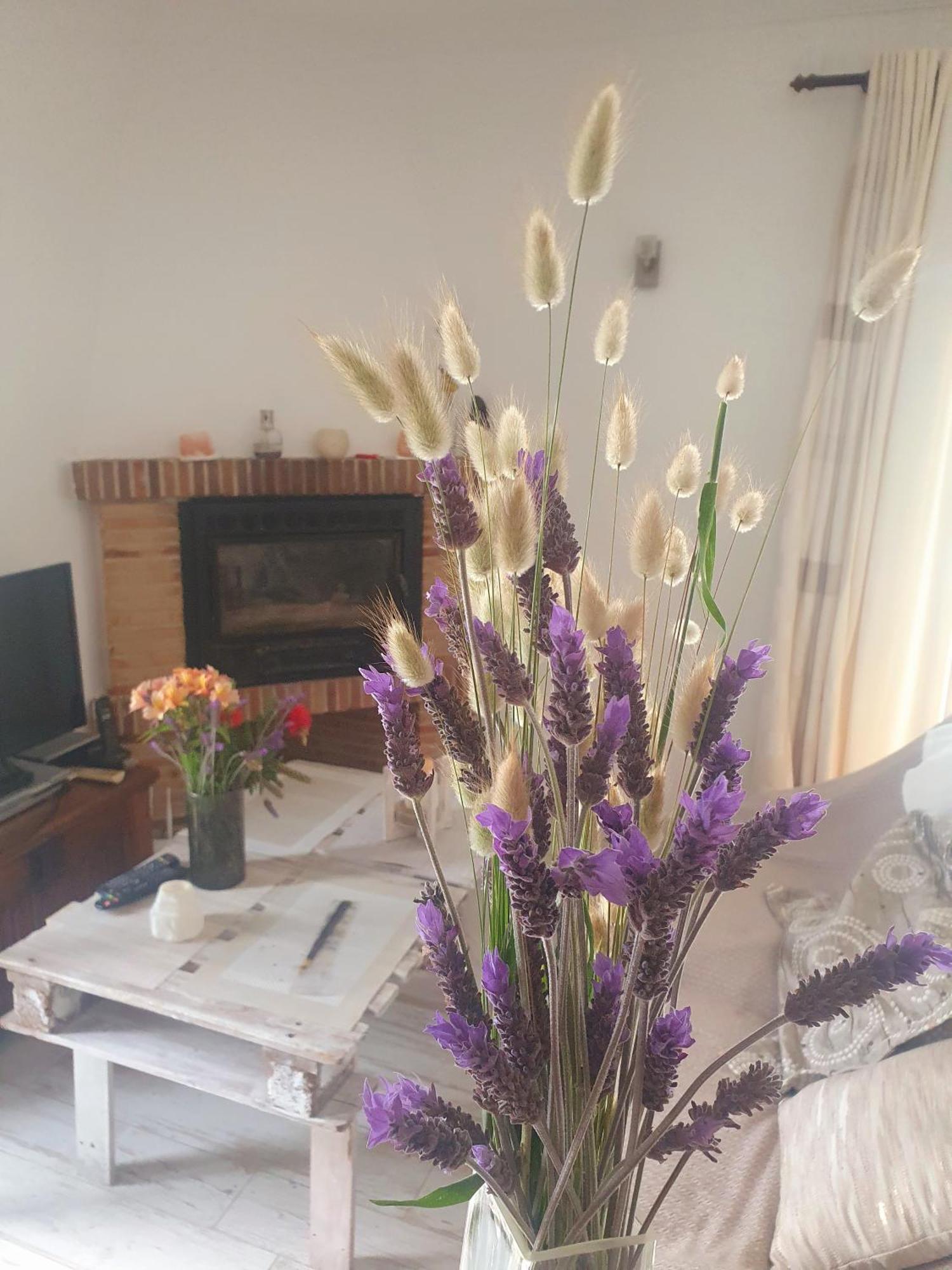 Valerie Bio & Zen Guest house *