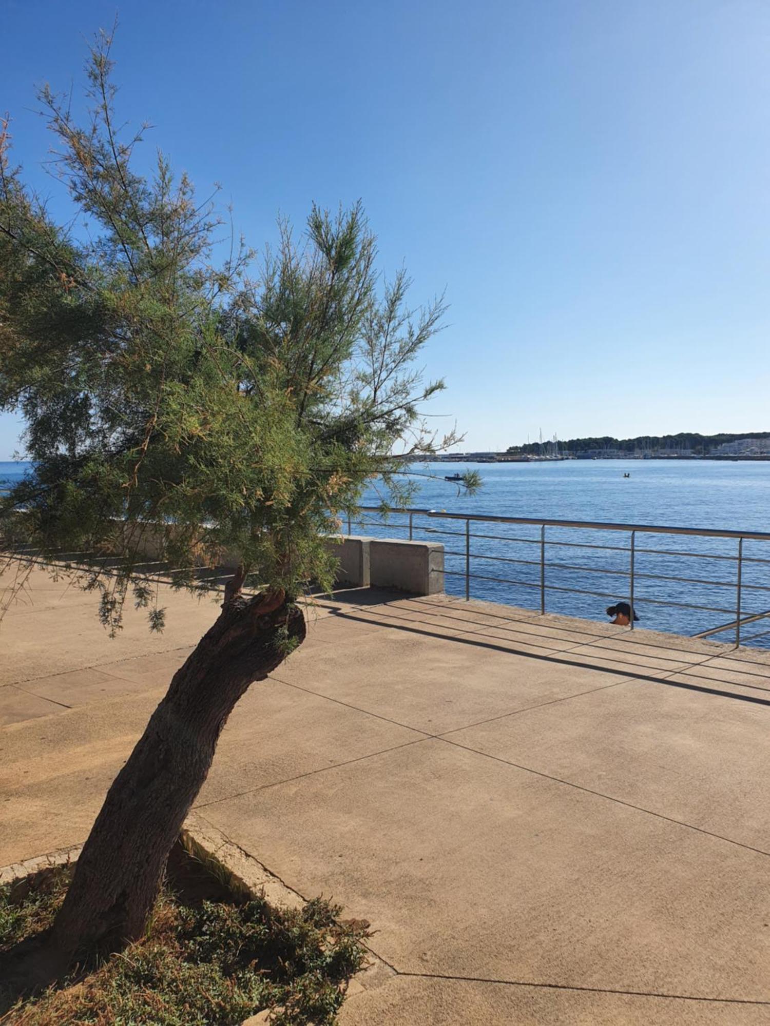 Valerie Bio & Zen Guest house