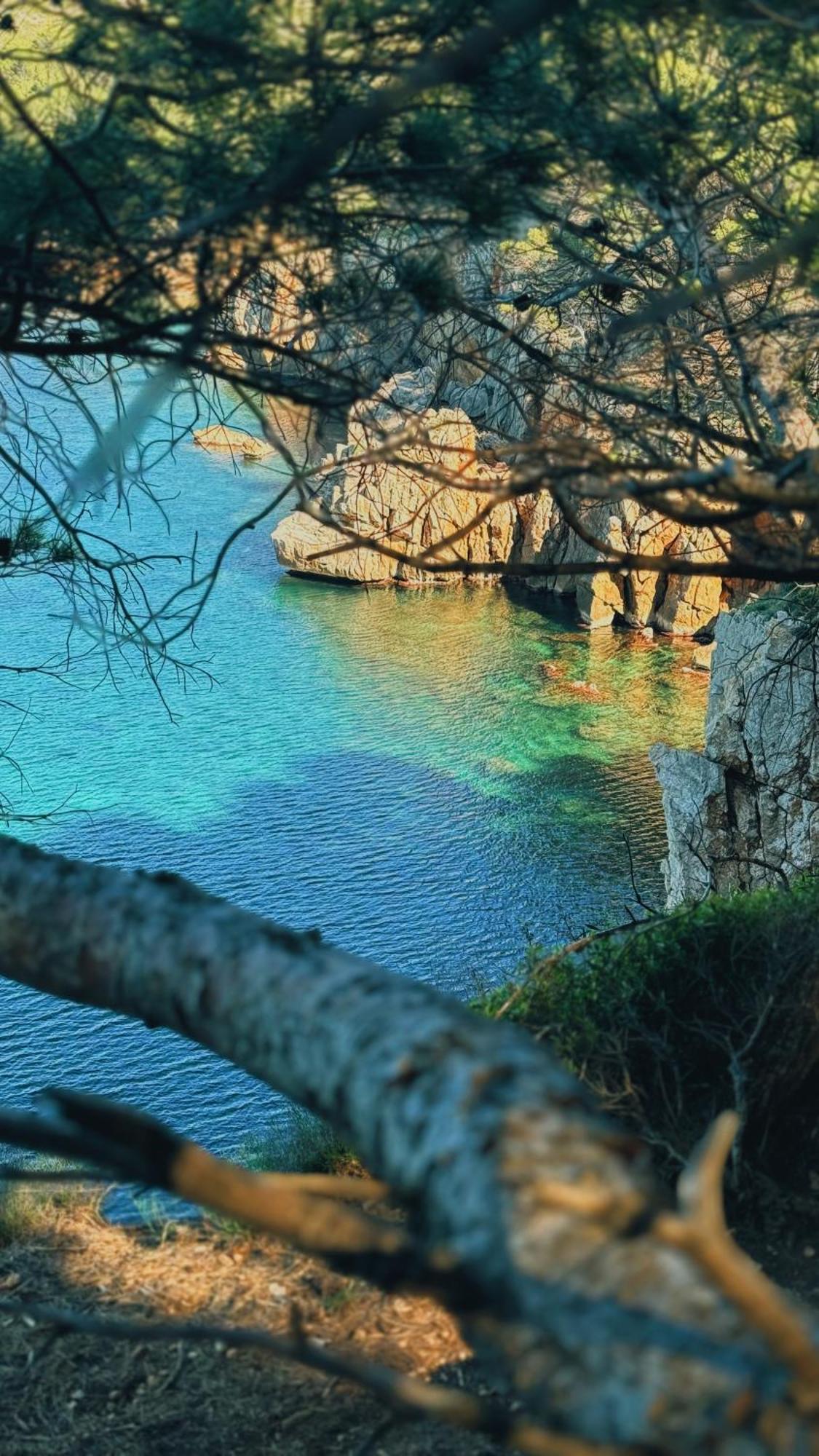 Romy T1 C - A 80m De La De Cala Montgo Apartment