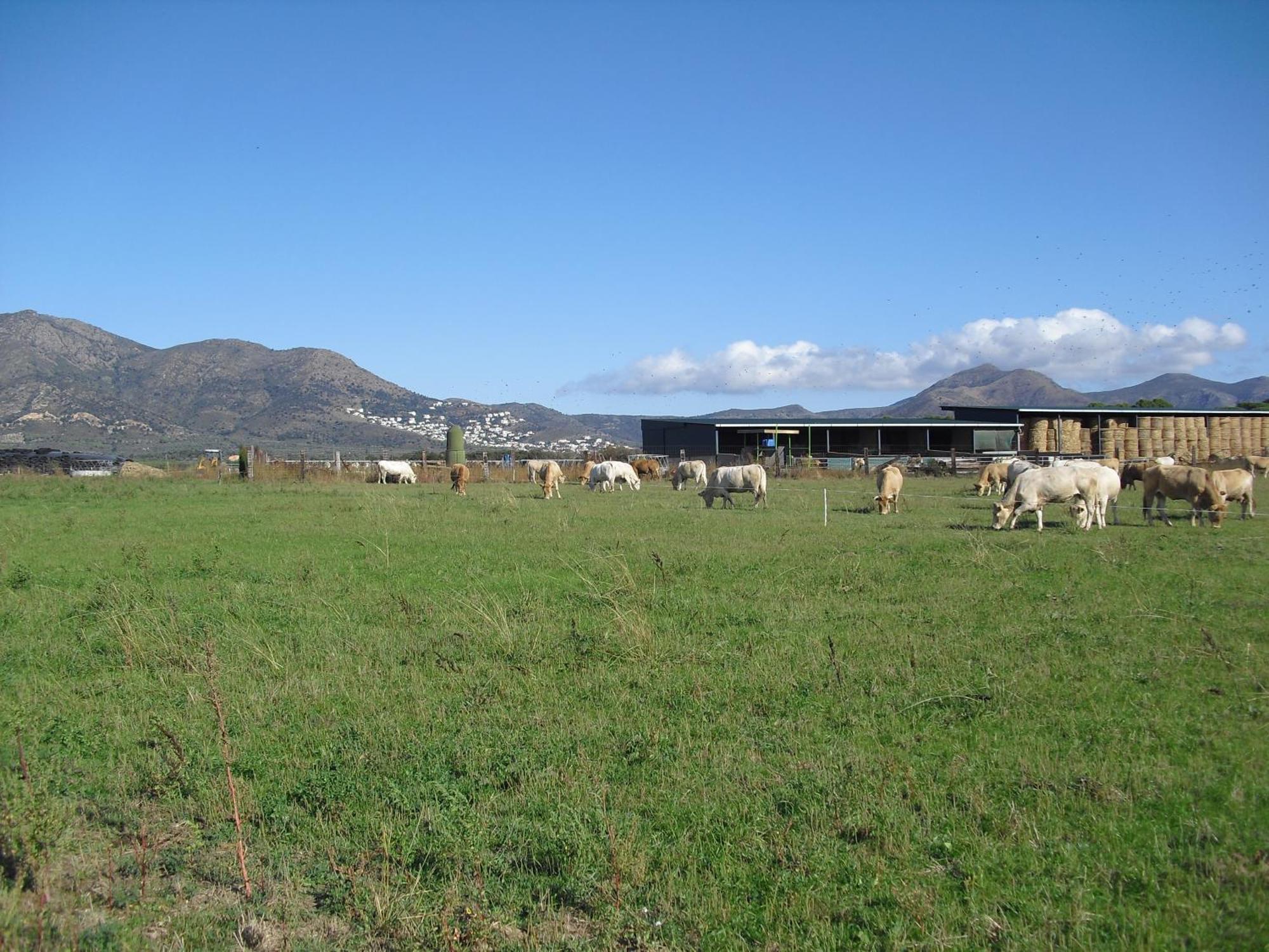 Mas La Torre Casa rural *