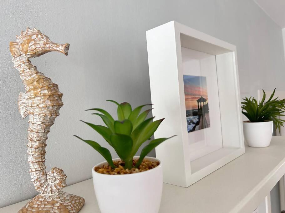 En El Port Daro By Host&joy Apartment