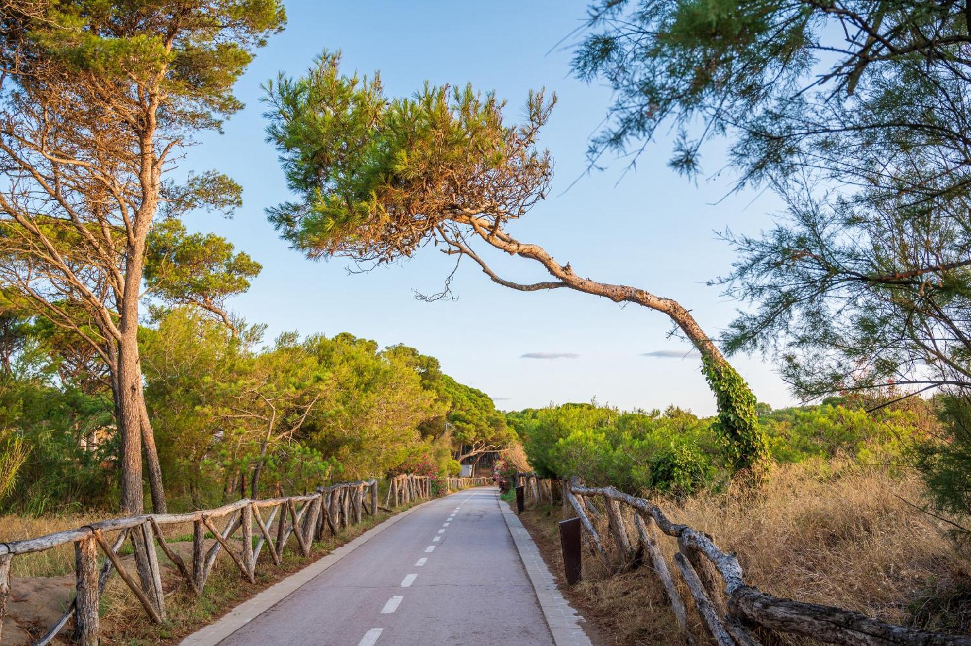 Ca La Ona * L' Escala