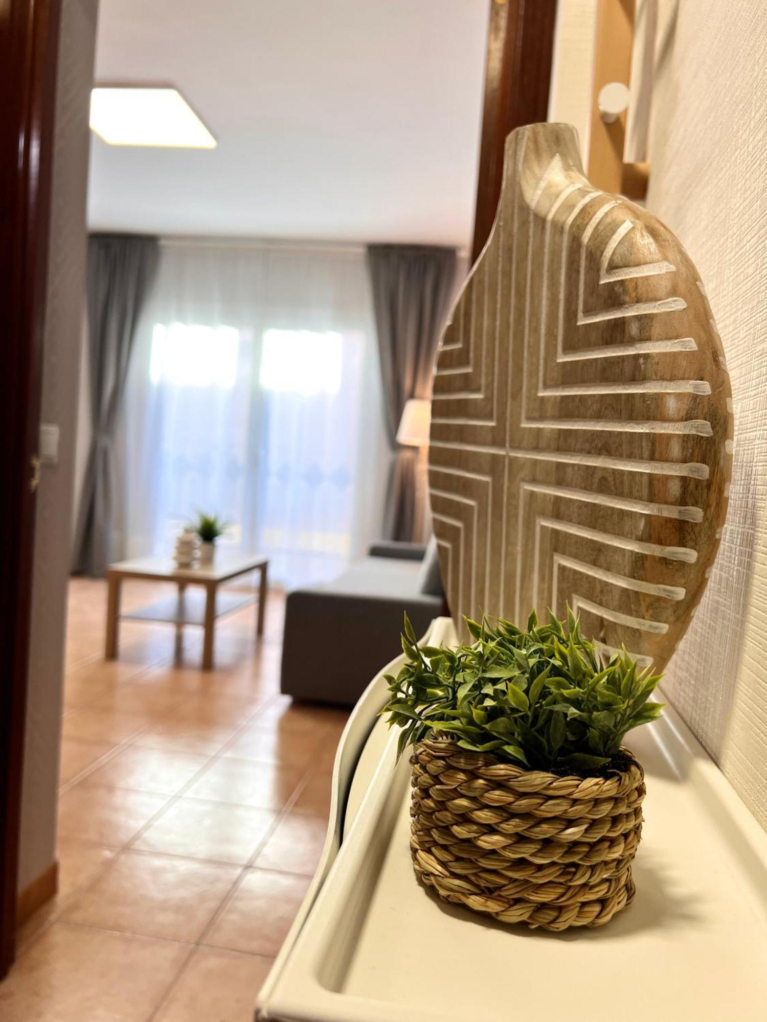 Oliva Aparts 204 New 2024 Apartamento