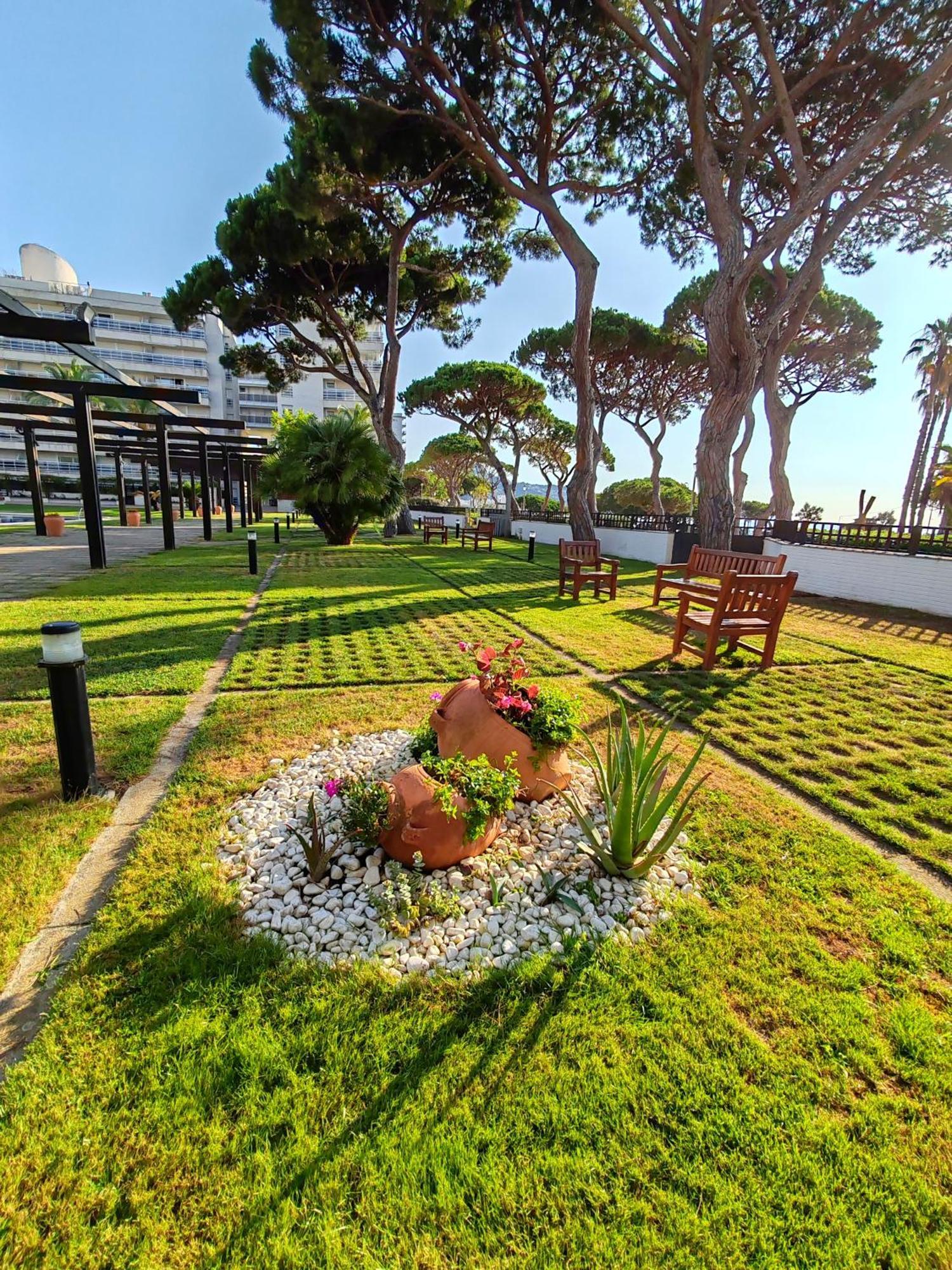 Seafront In Apartamento