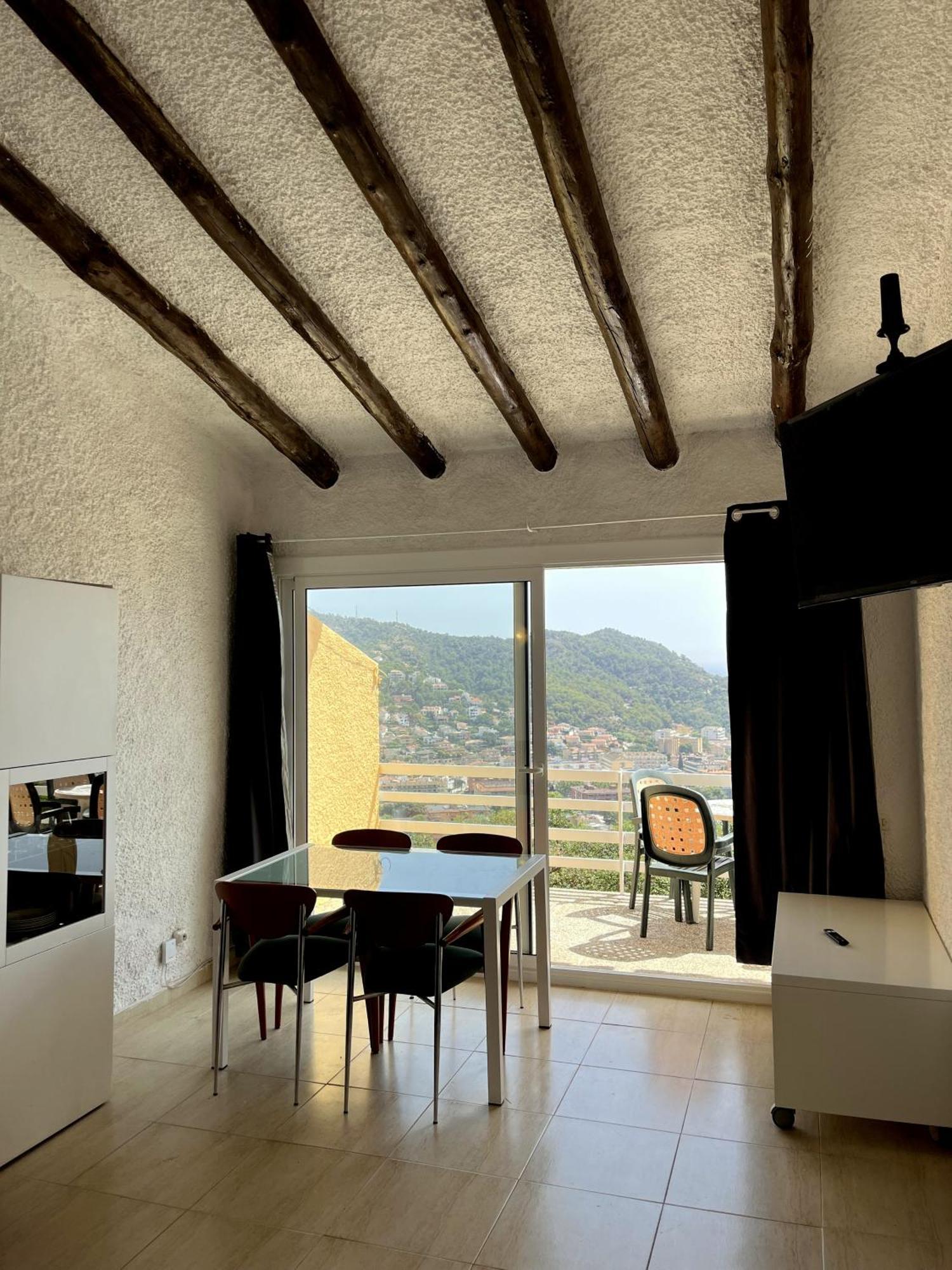 Panoramic View *