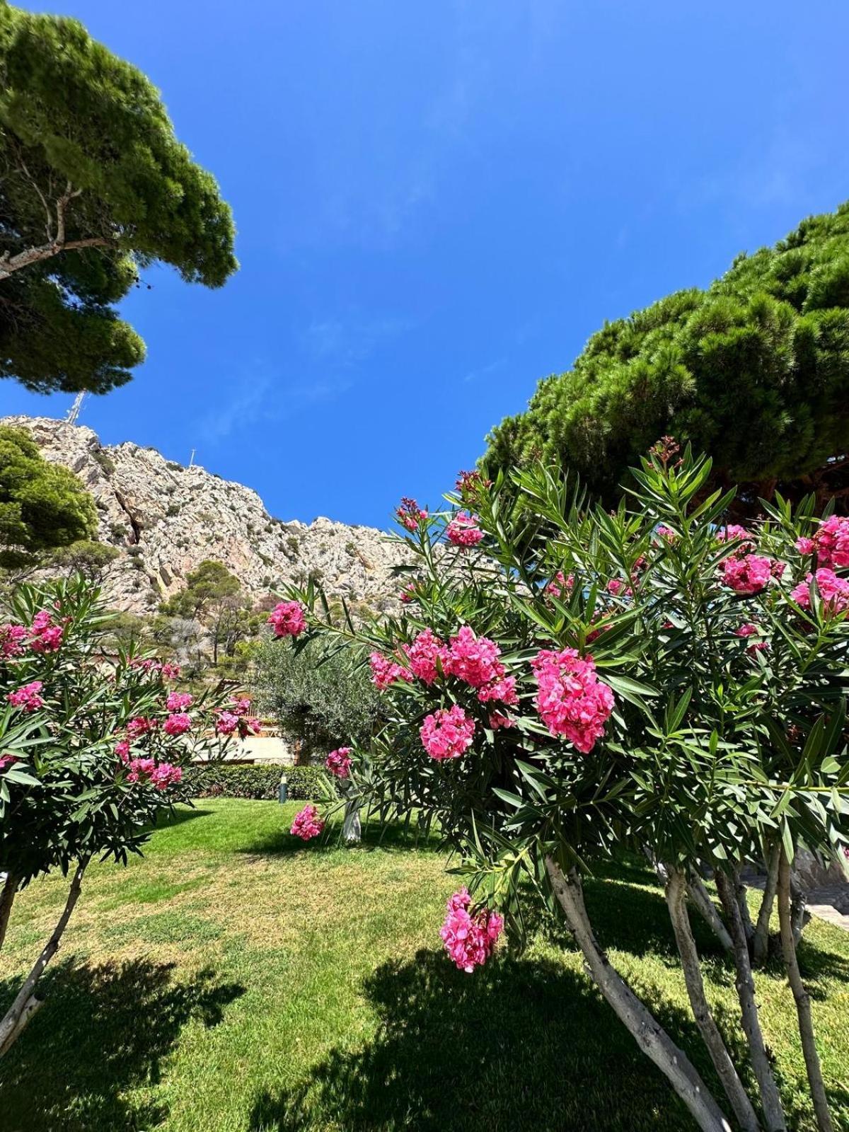 Mediterrania 98 Holiday home *