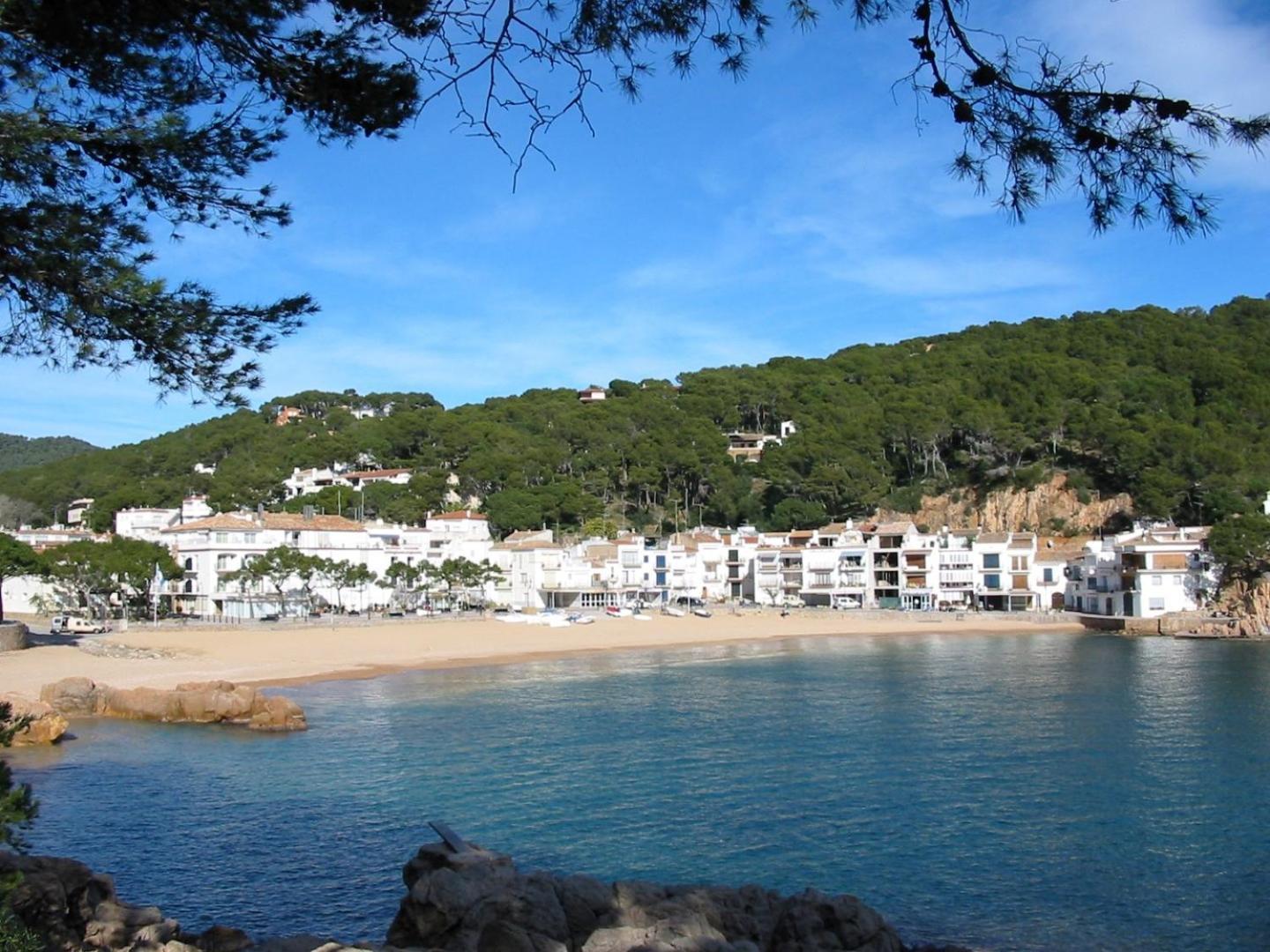 Apartamento A 300 M De La Playa De Mp 502 *